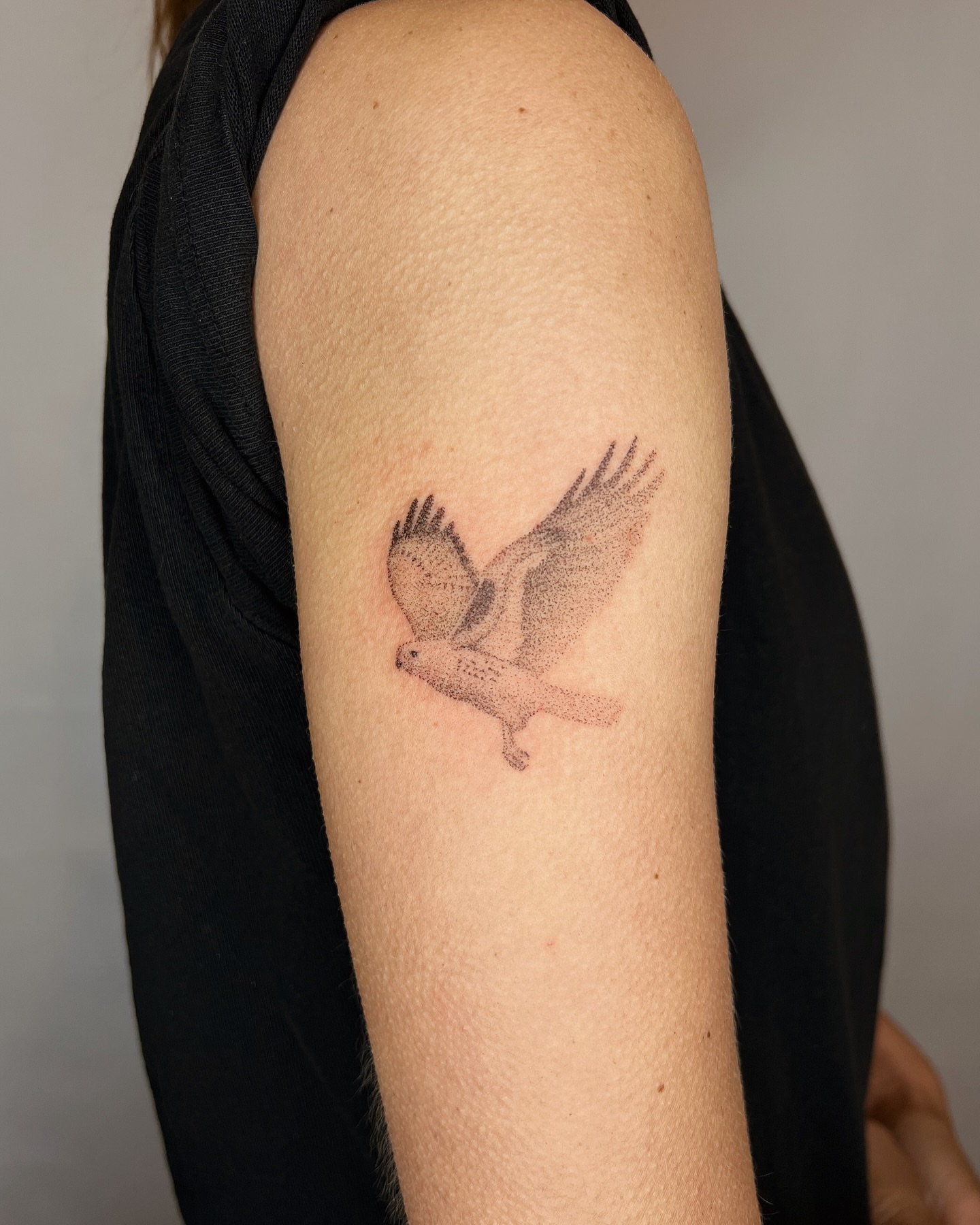 Hawk dotwork tattoo on the forearm by kait ❃ hartman