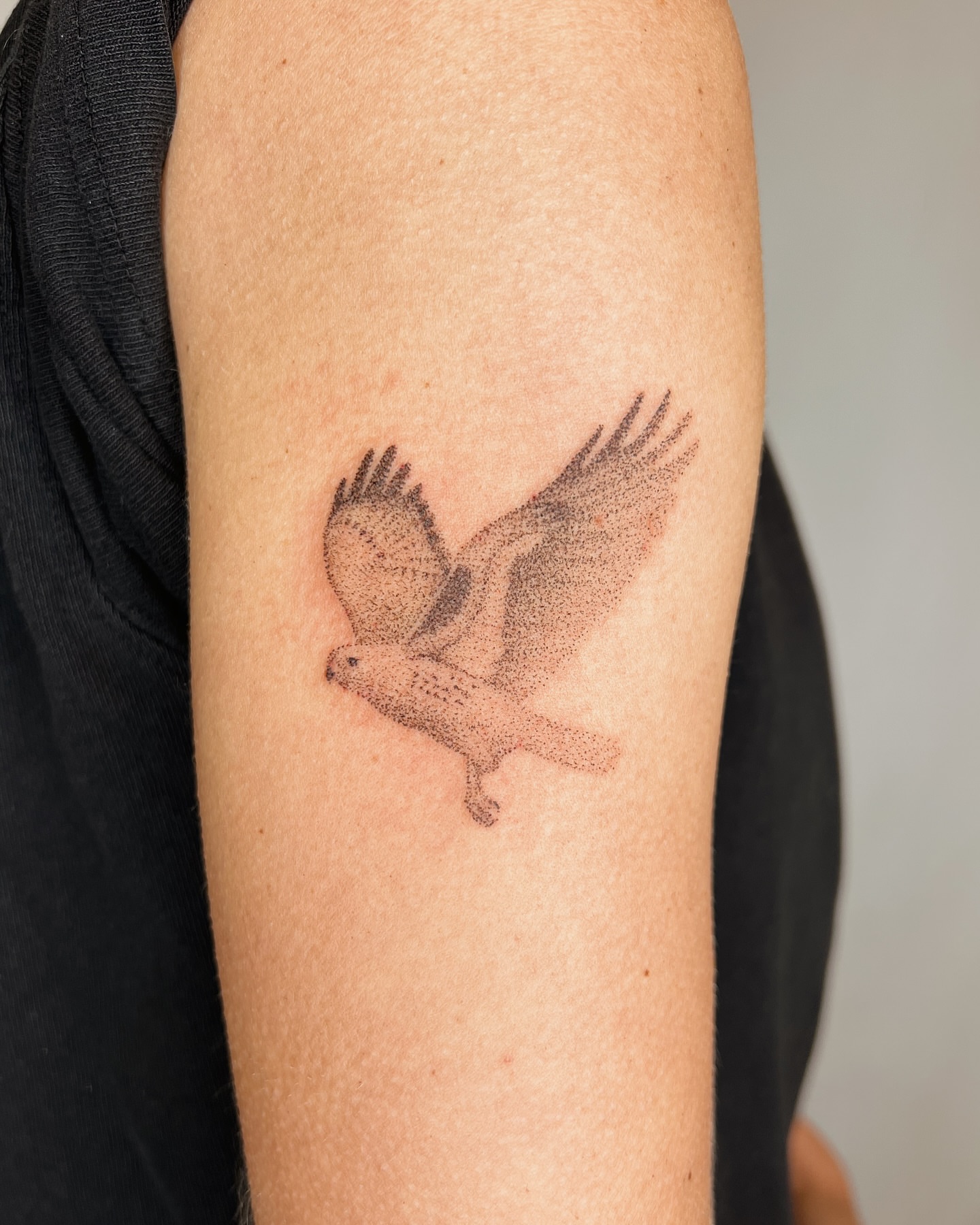 Hawk dotwork tattoo on the forearm by kait ❃ hartman