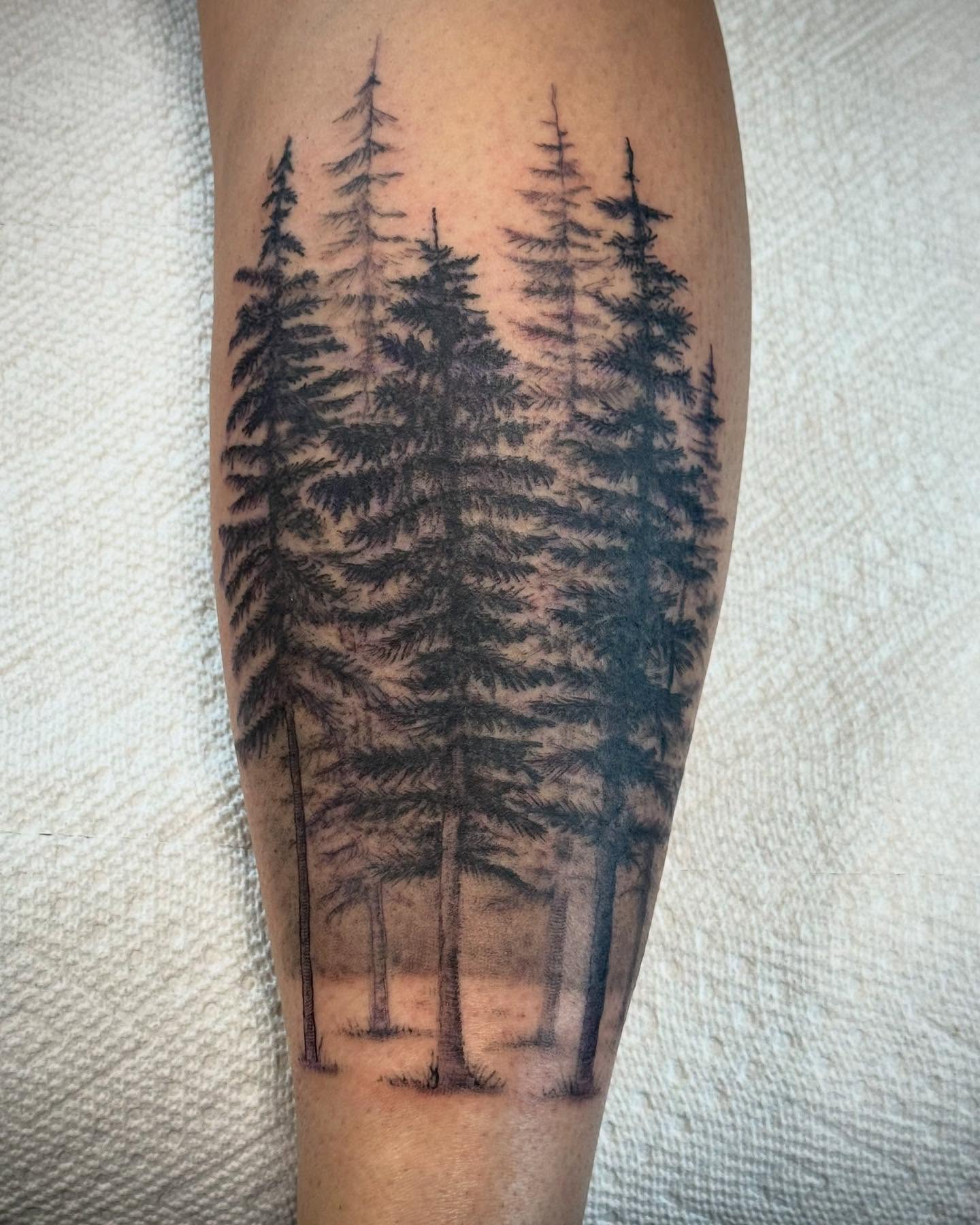 Pine trees realism tattoo on the forearm by Iconic Ink, Millbury, Massachusetts