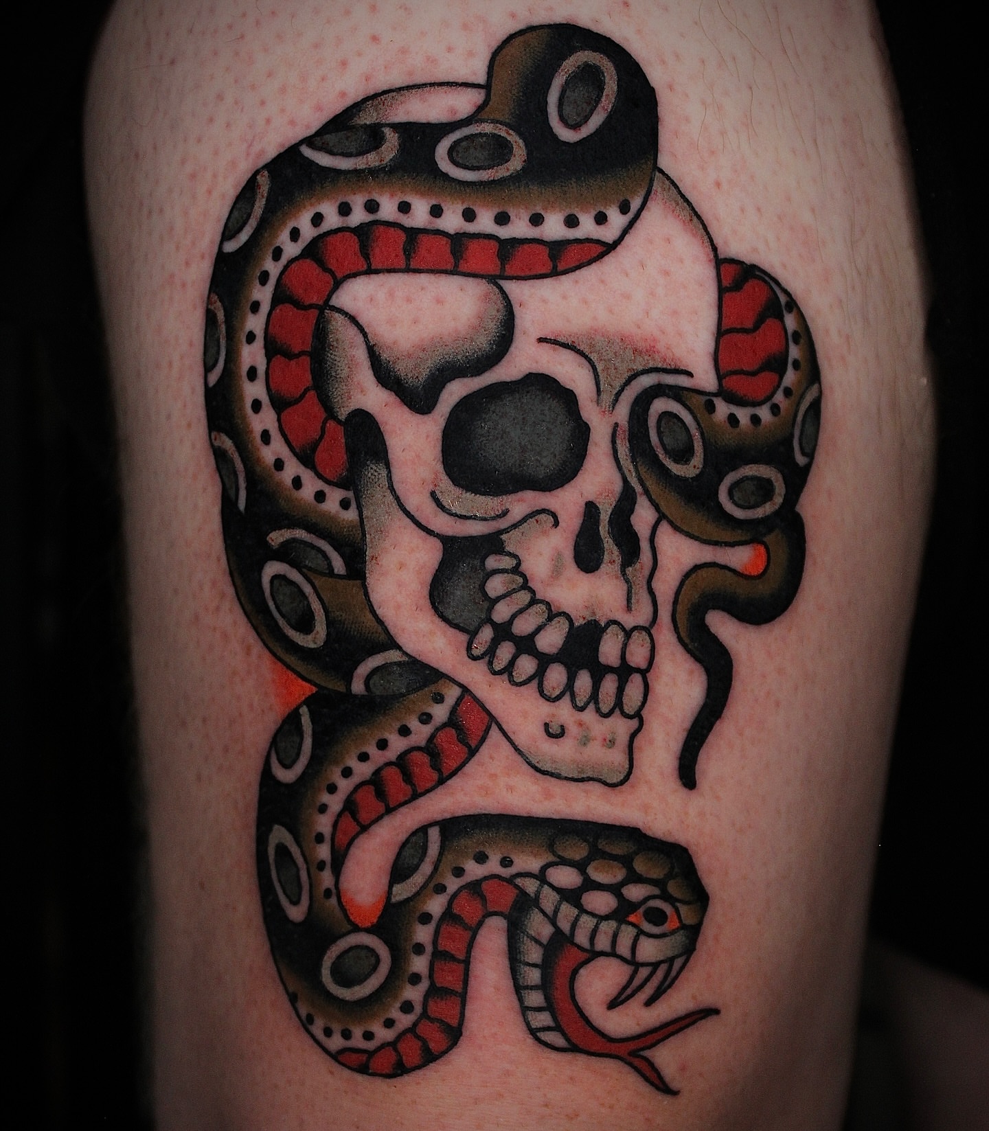 Snake and skull American traditional tattoo on the forearm by Dustin Stemen, Charlotte, North Carolina