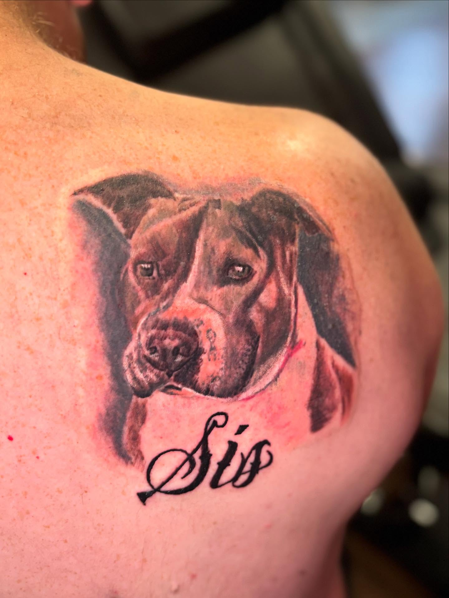 Dog realism tattoo on the shoulder by Dre Ortiz