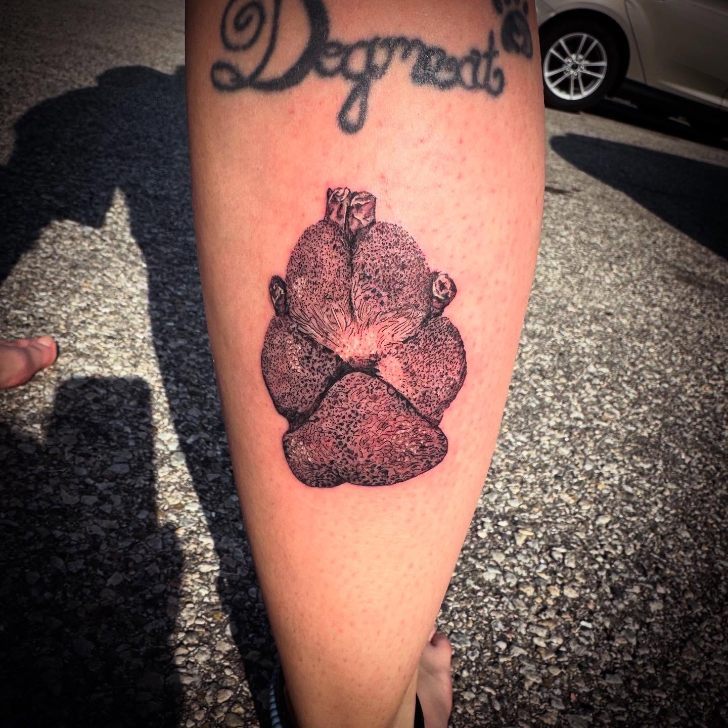 Tattoo by @tattoos_by_johnd — dotwork