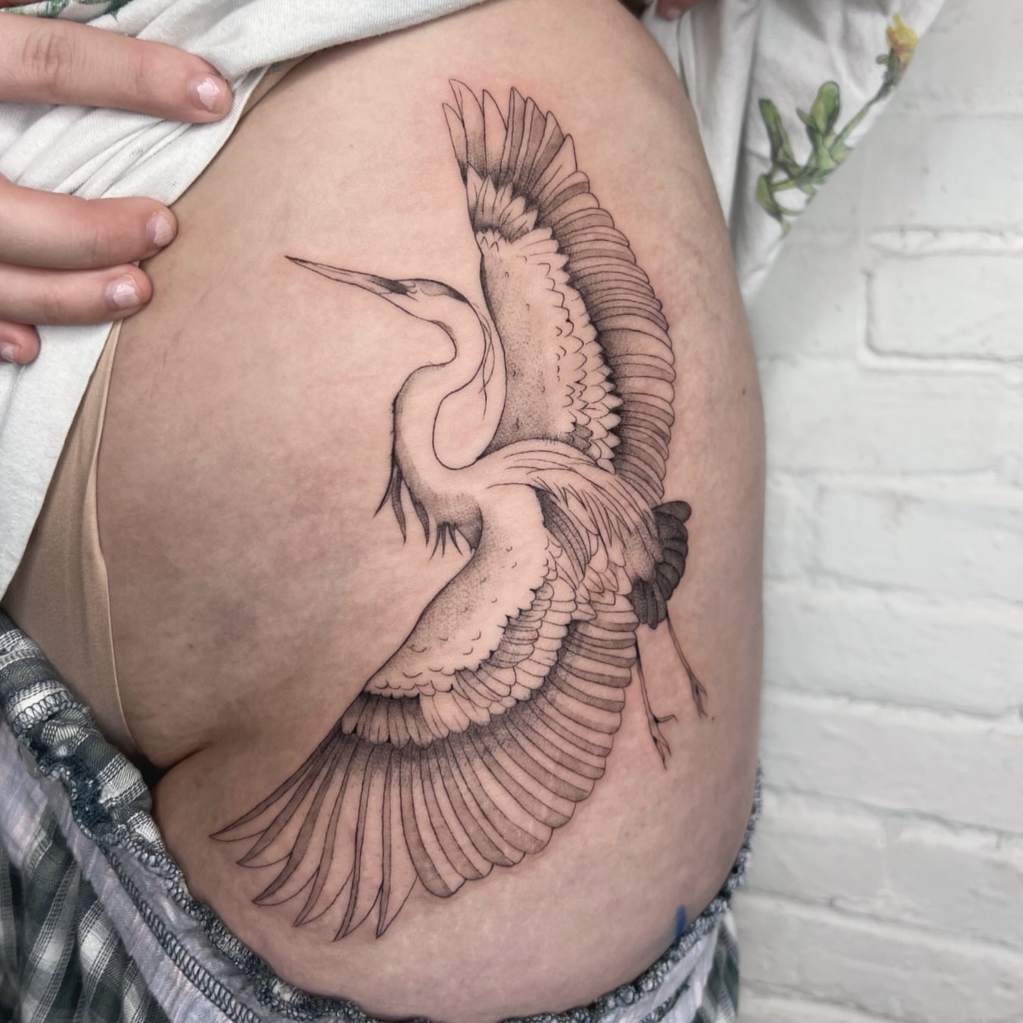 Heron black and grey tattoo on the thigh by Robb Wilson