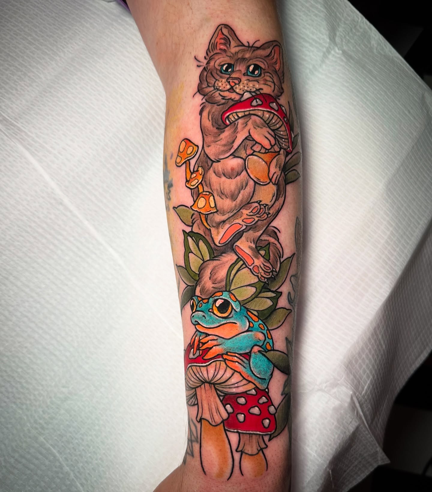 Cat and frog new school tattoo on the forearm by Tayler Pearson, Fort Collins, Colorado