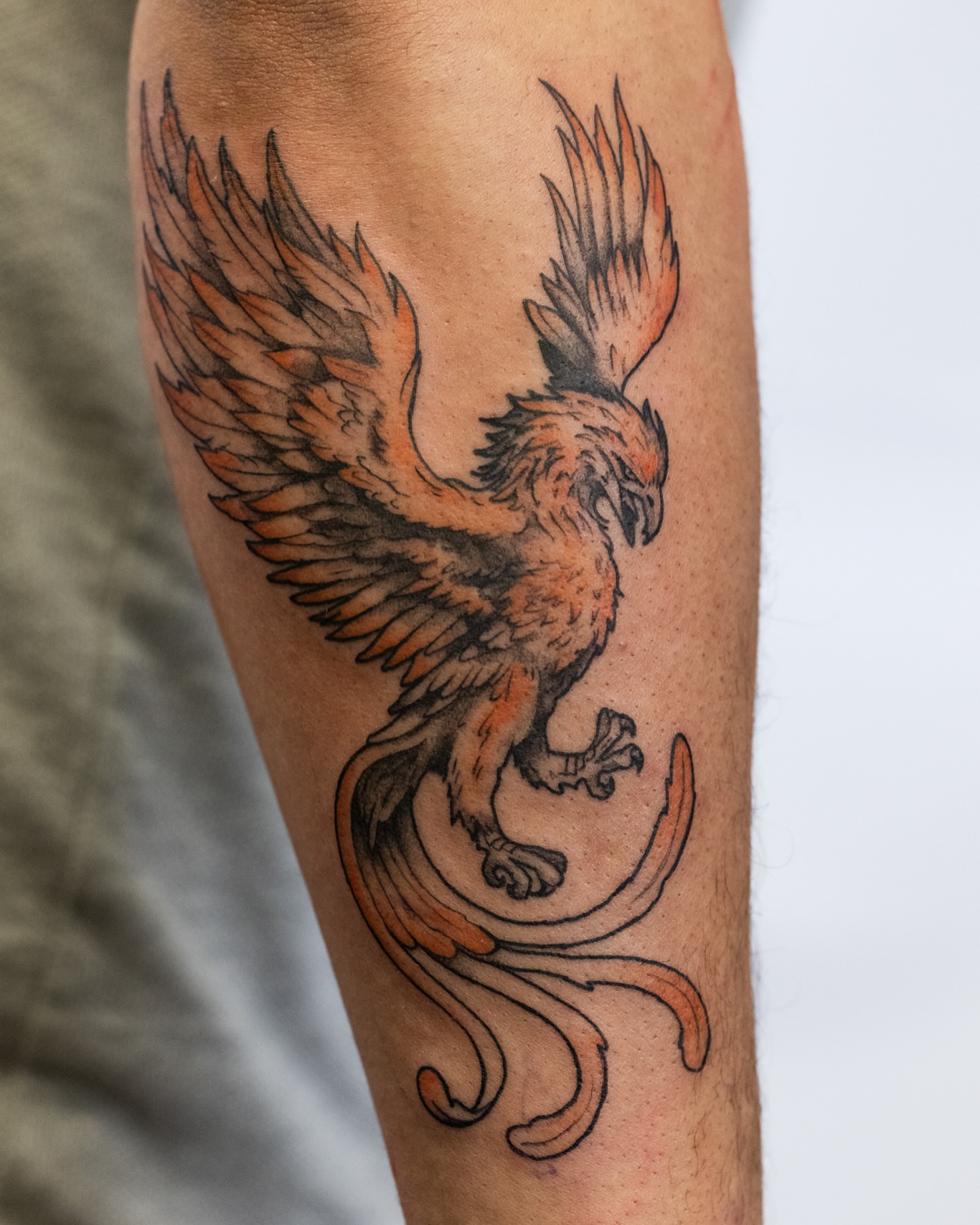 Phoenix neo-traditional tattoo on the forearm by Ben Cisek