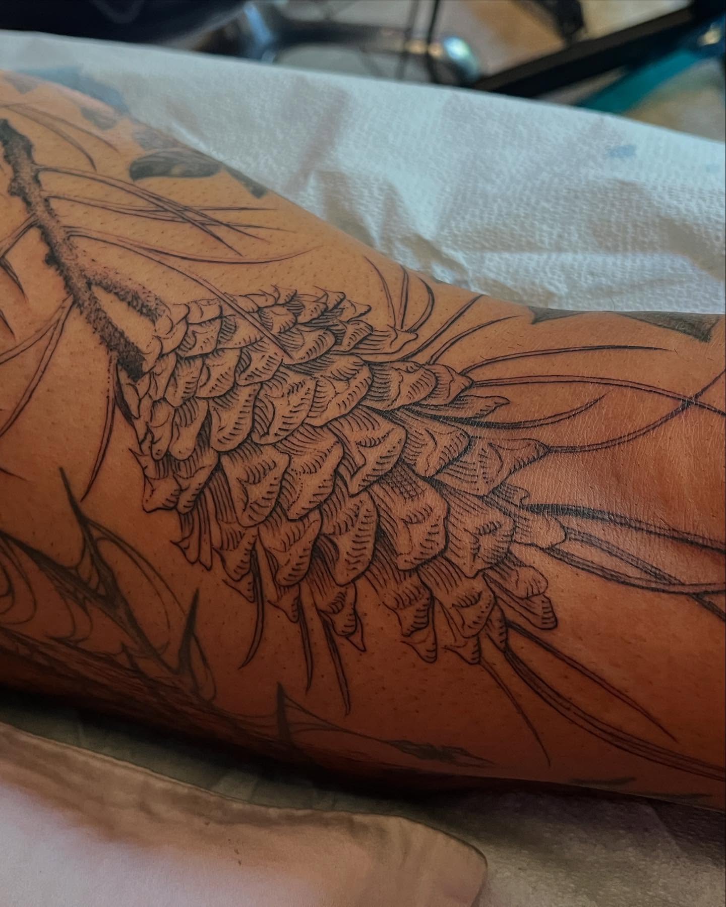 Pinecone black and grey tattoo on the forearm by Natasha