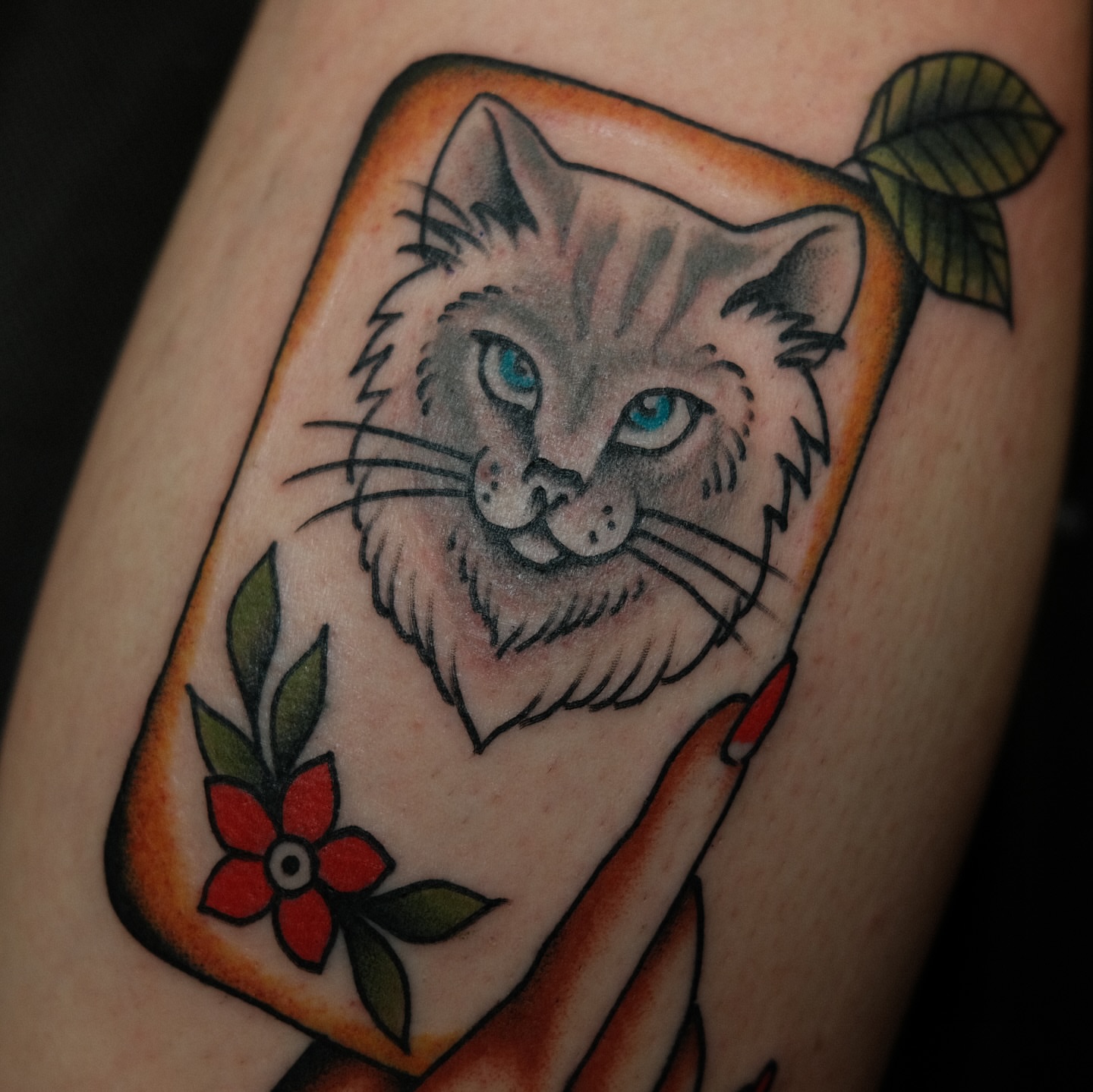 Cat American traditional tattoo on the forearm by Tony Talbert, Fredericksburg, Virginia