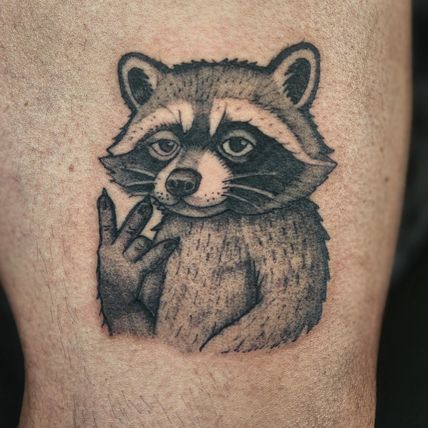 Raccoon black and grey tattoo on the forearm by @tattoobytats