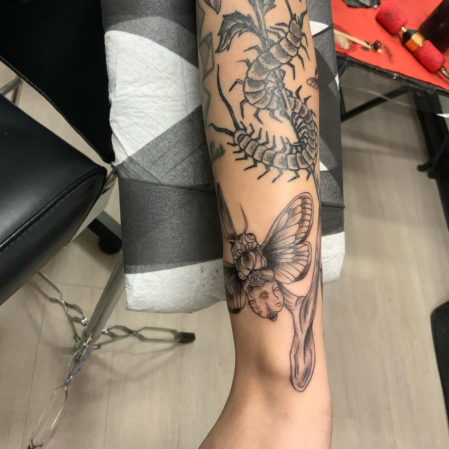 Centipede and butterfly realism tattoo on the forearm by QUEEN TATTOO Stephanie Larson