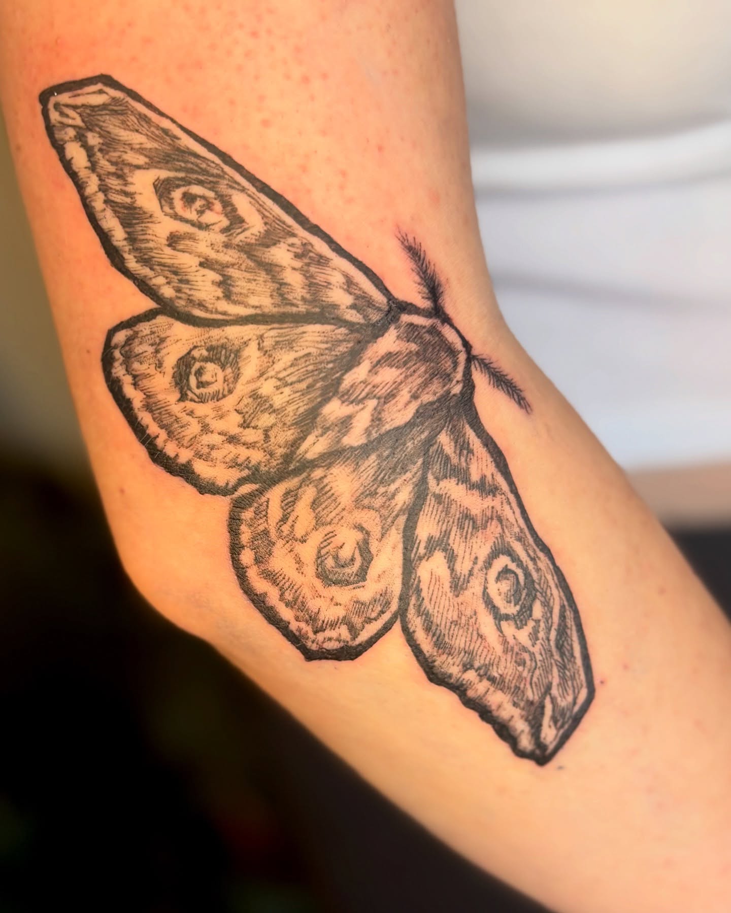 Moth black and grey tattoo on the forearm by Wren Cavanaugh Tattoos, Seattle, Washington