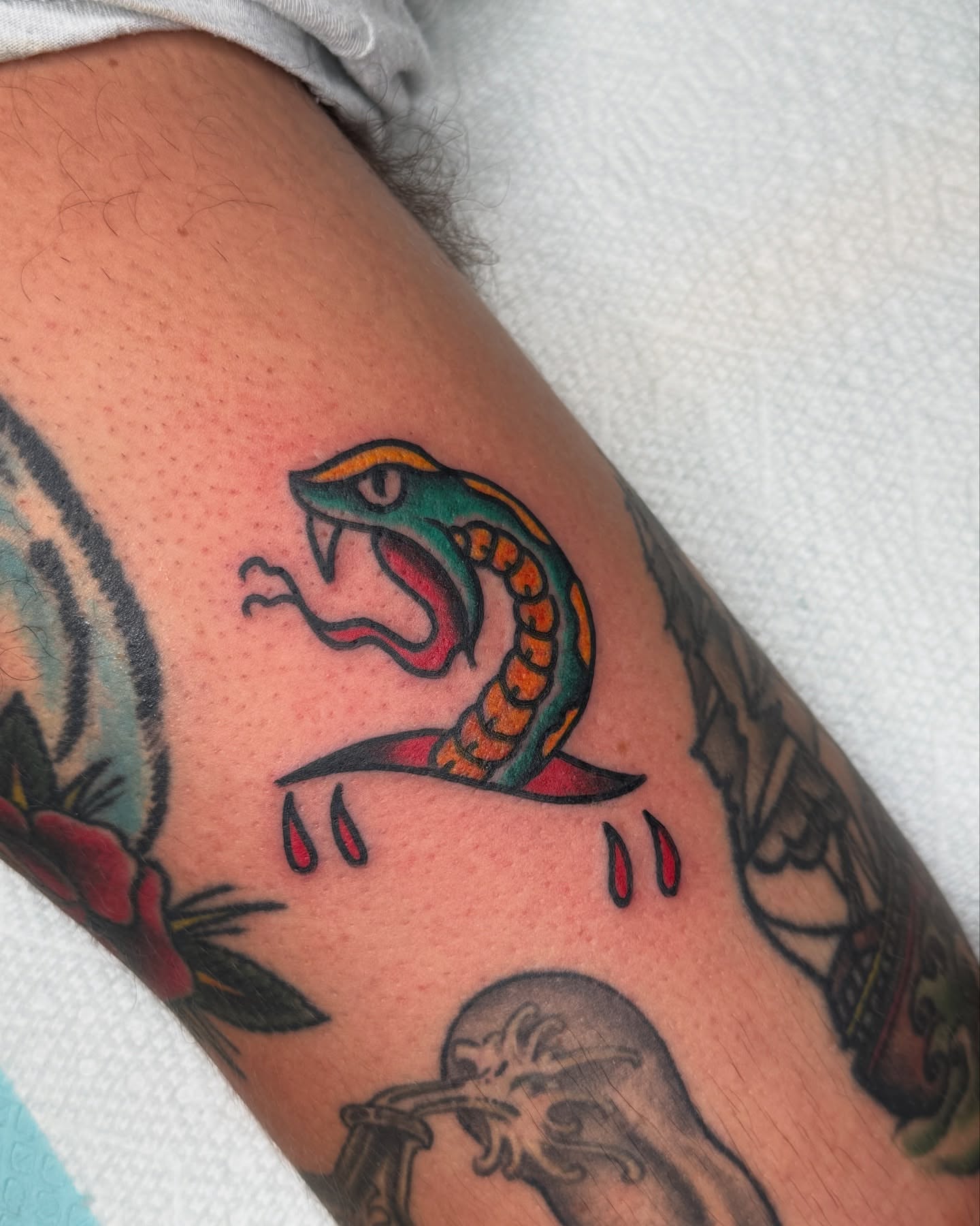 Snake American traditional tattoo on the forearm by Andre Guerra