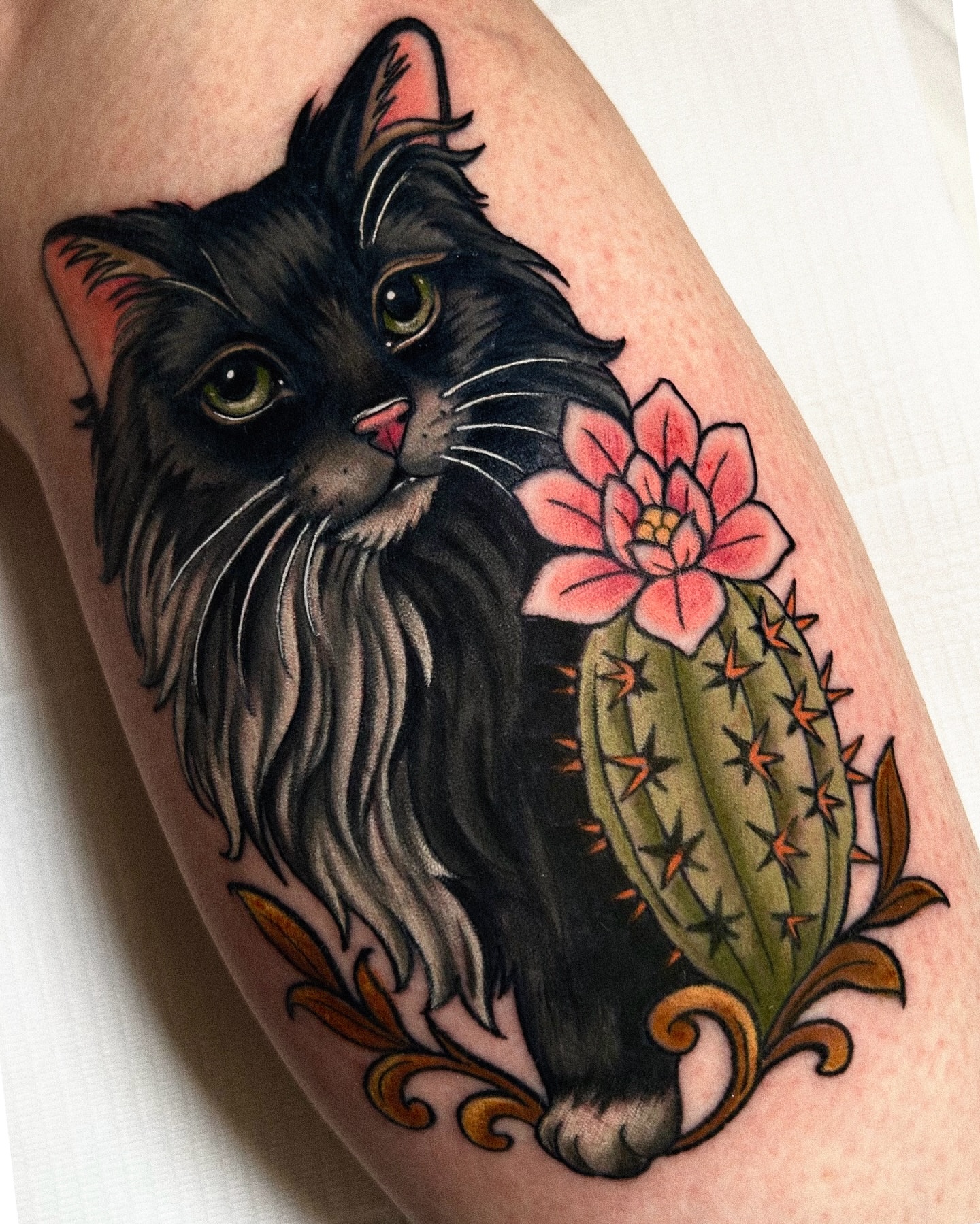 Cat and cactus American traditional tattoo on the forearm by Tattoos By Lola Cavotta, Willoughby, Ohio