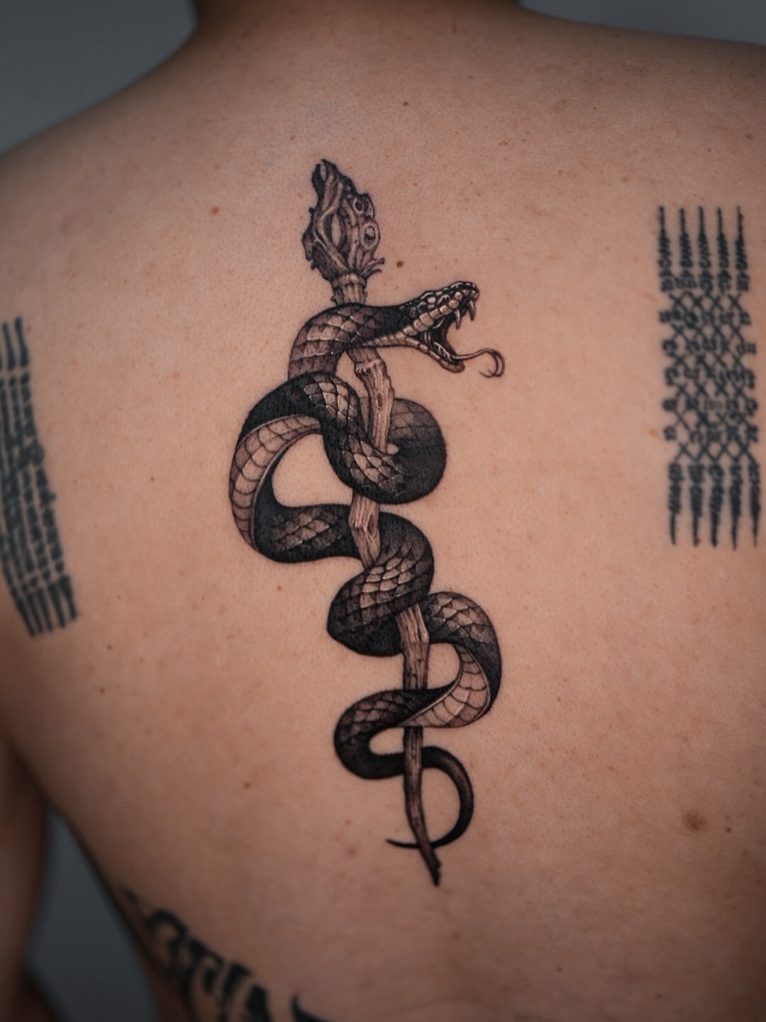 Snake black and grey tattoo on the back by Blackwork A P S O
