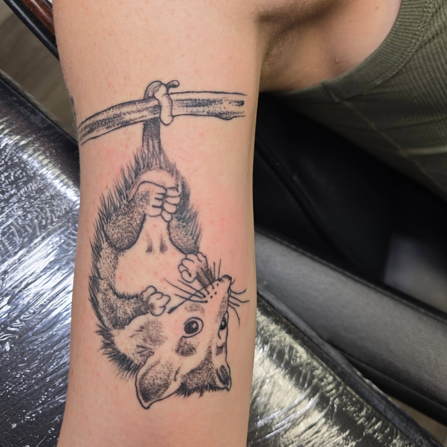 Possum hanging upside down dotwork tattoo on the forearm by Karen Cain