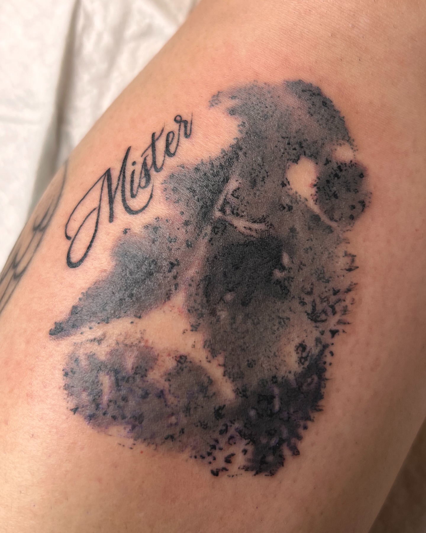 Portrait black and grey tattoo on the upper arm by Belle Halverson