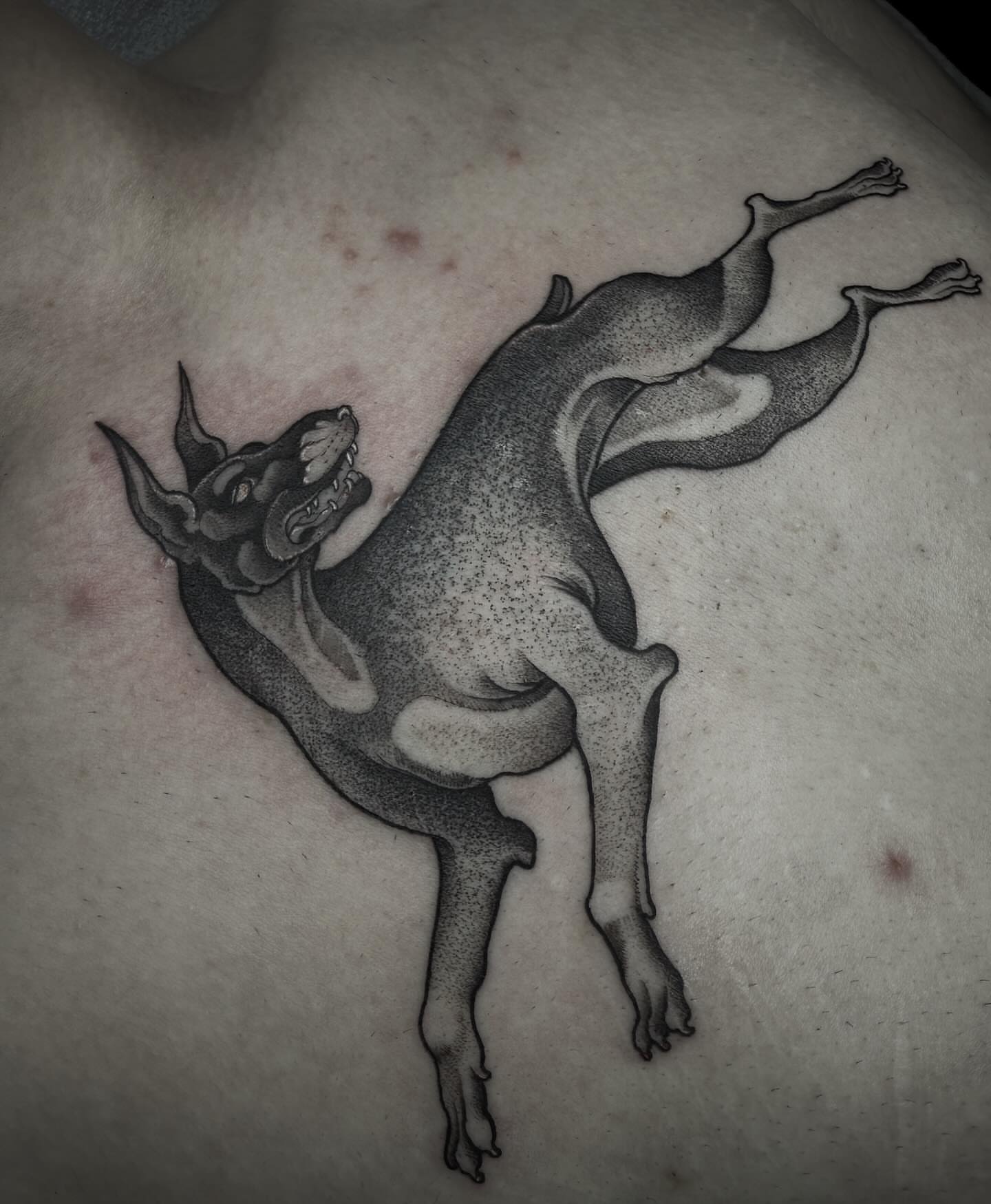 Dog dotwork tattoo on the chest by π· C a t B l a c k π·οΈ