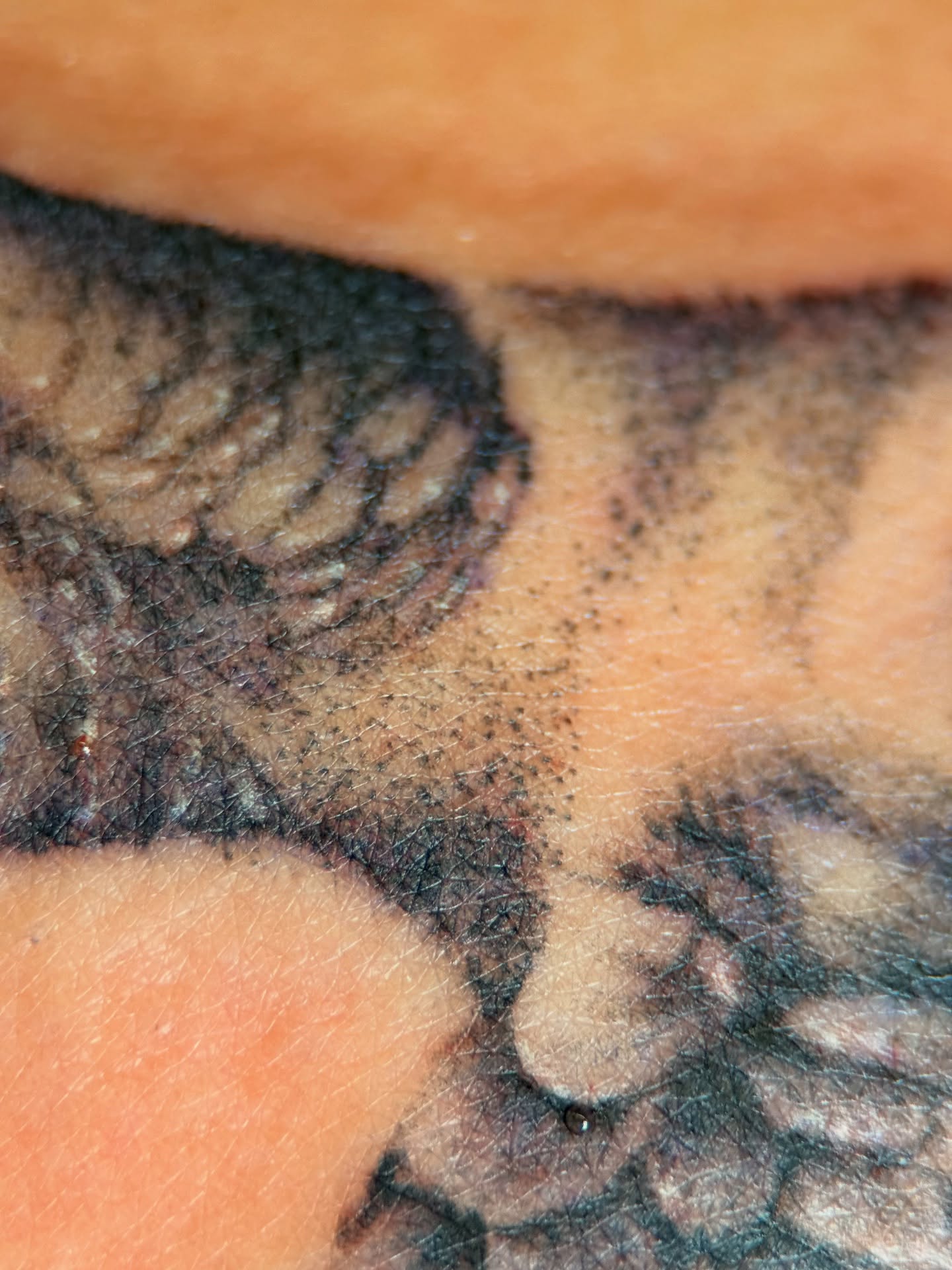 Tattoo by @dr_zeus_tattoo — dotwork
