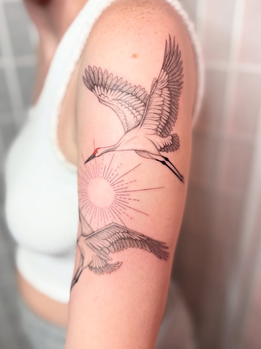 Two cranes flying with sun fine line tattoo on the forearm by Dama