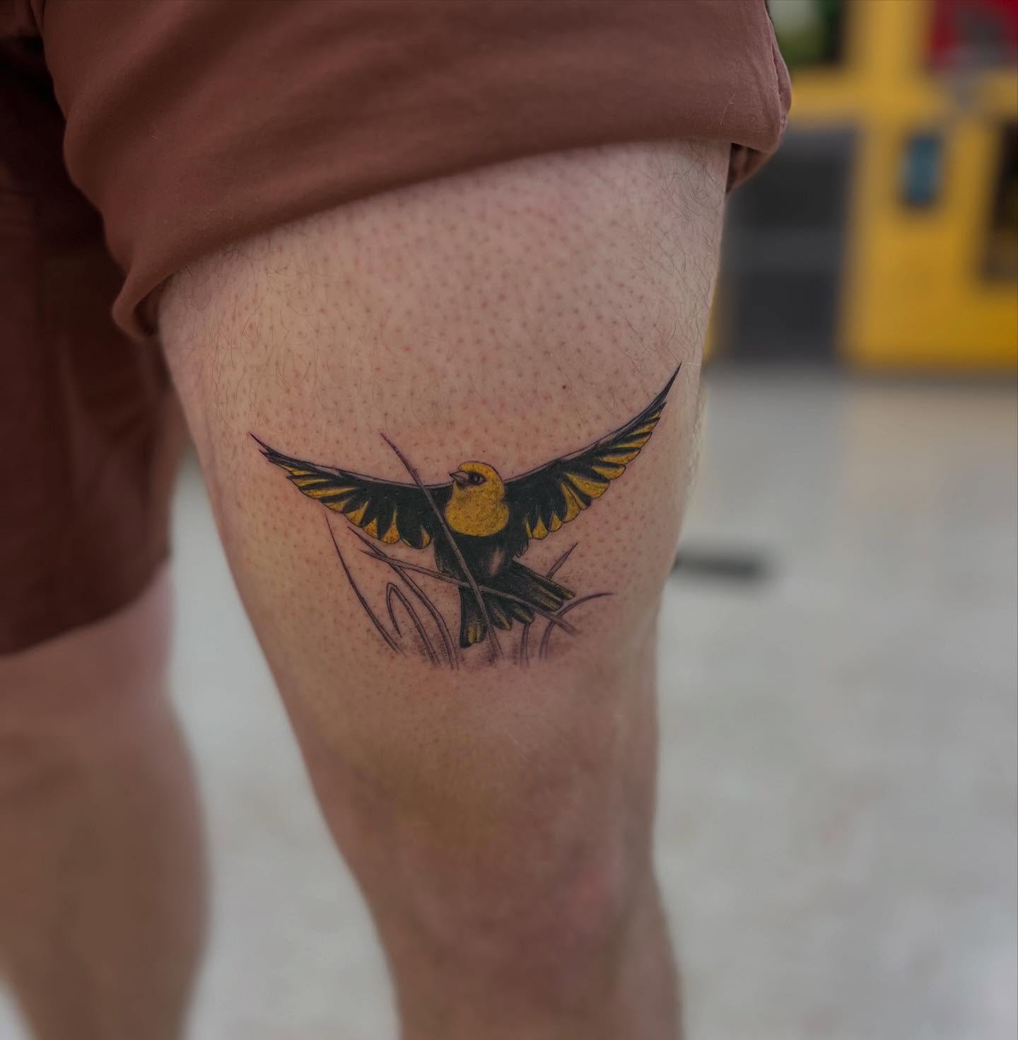 Bird realism tattoo on the thigh by Levi Sawdon, Everett, Washington