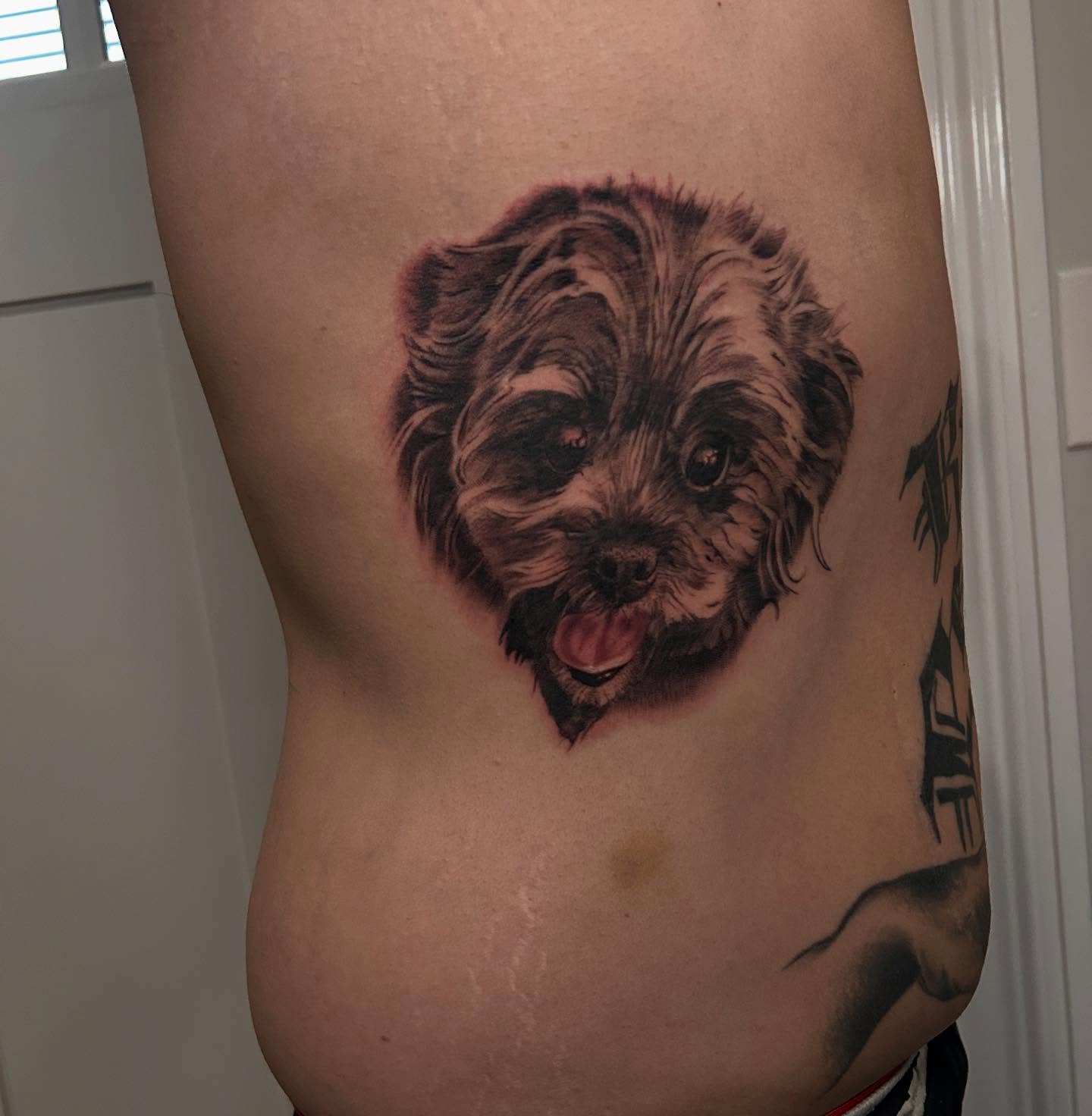 Dog realism tattoo on the ribs by Marvin Silva