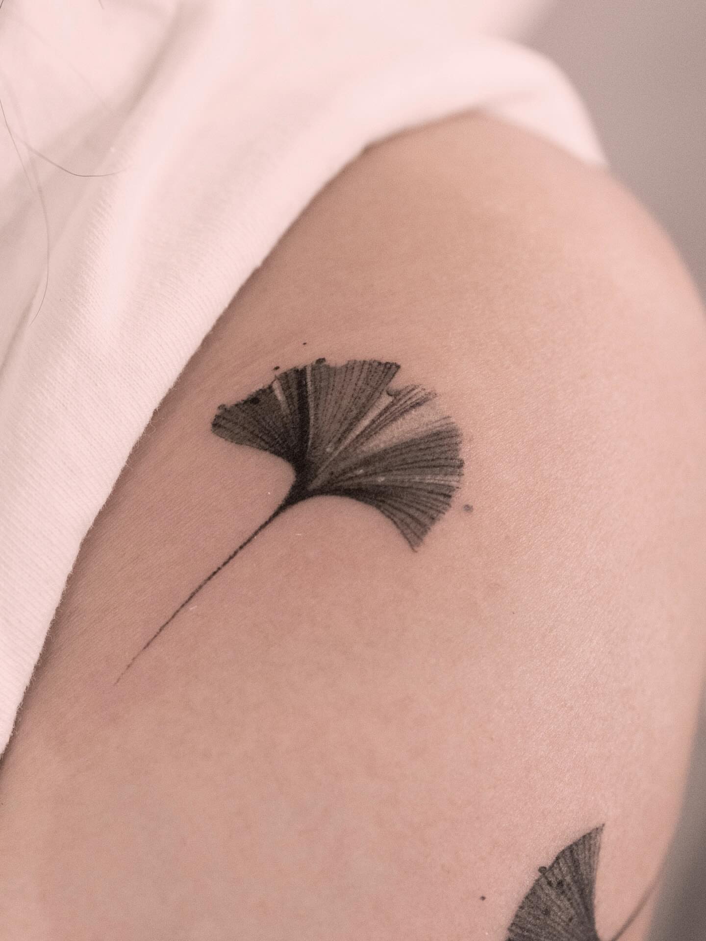 Gingko leaf black and grey tattoo on the shoulder by Tattooist hea