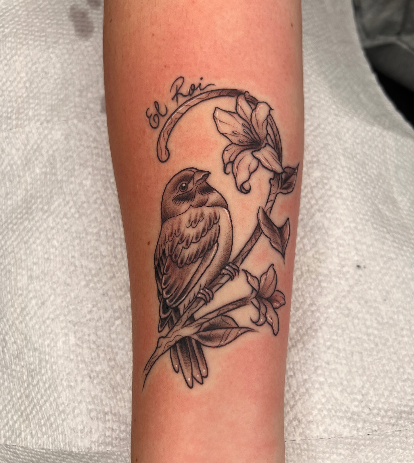 Bird and lily black and grey tattoo on the forearm by Tattoo & Body Artist, Gastonia, North Carolina