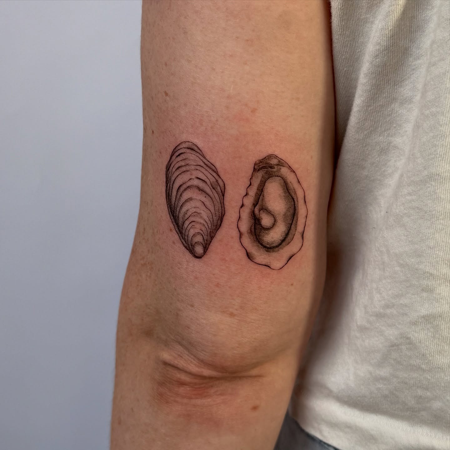 Mussels realism tattoo on the forearm by bre