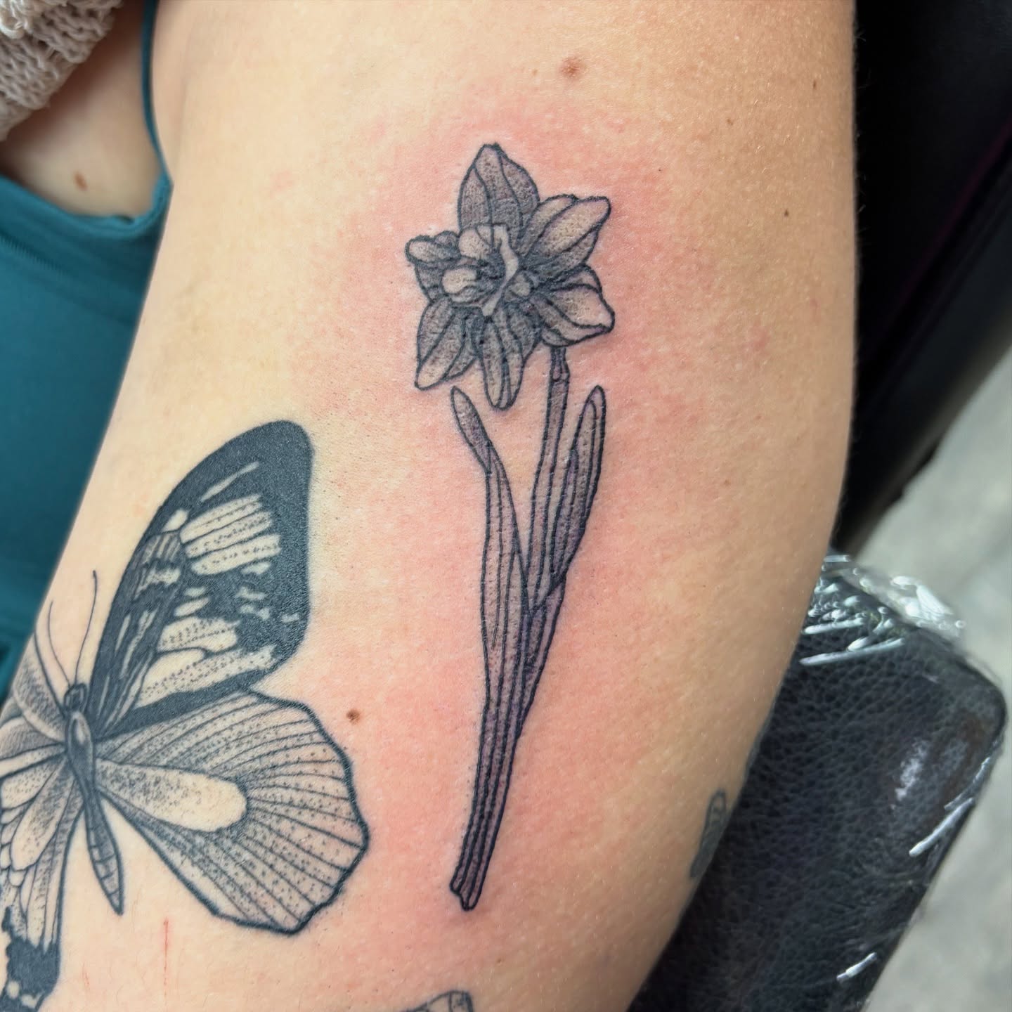 Daffodil black and grey tattoo on the forearm by Tori Anderson, Minneapolis, Minnesota