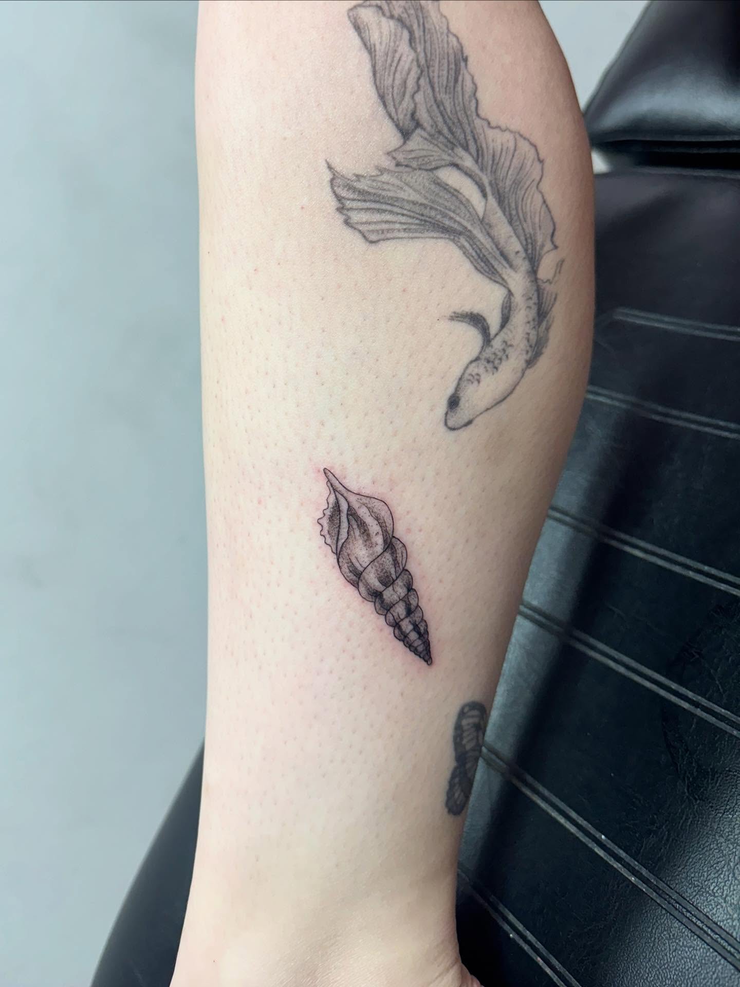 Shell and fish black and grey tattoo on the forearm by McKenna Chalifoux