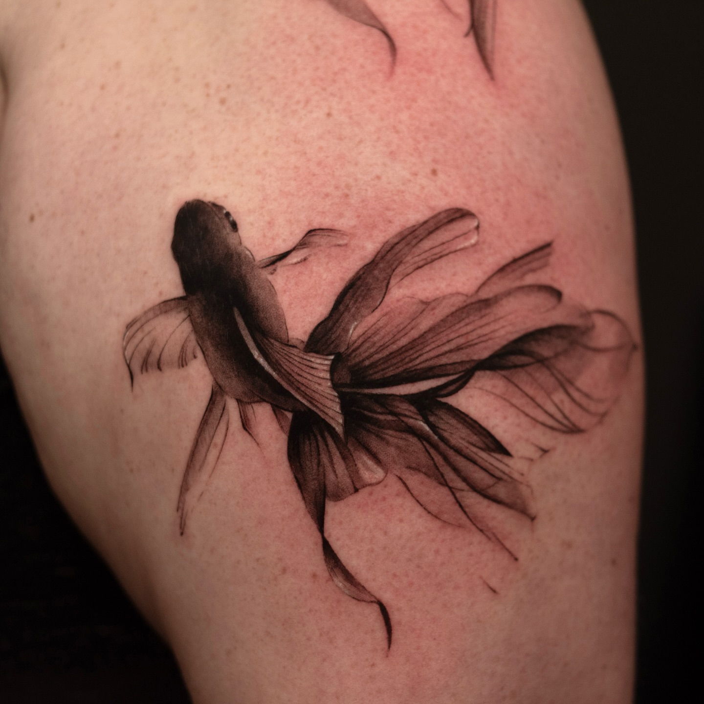 Tattoo by @evian_tat — black_and_grey