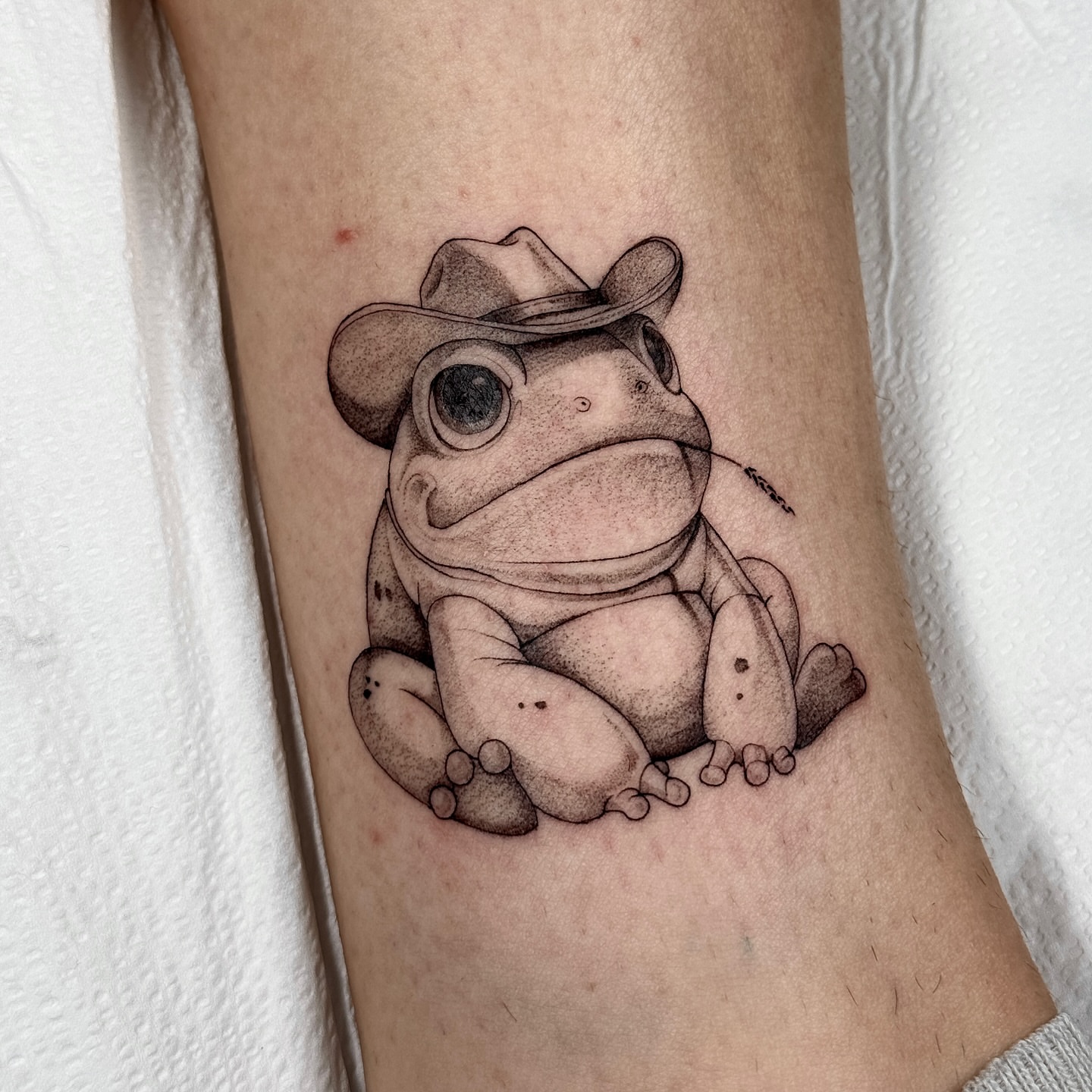 Frog wearing a hat dotwork tattoo on the forearm by Molly Murray