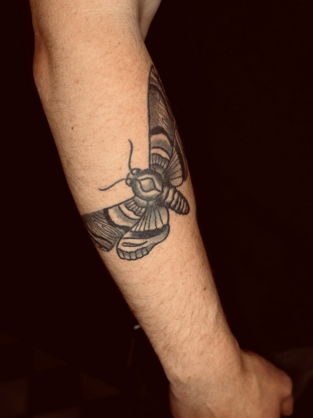 Moth black and grey tattoo on the forearm by Stephen Shaw