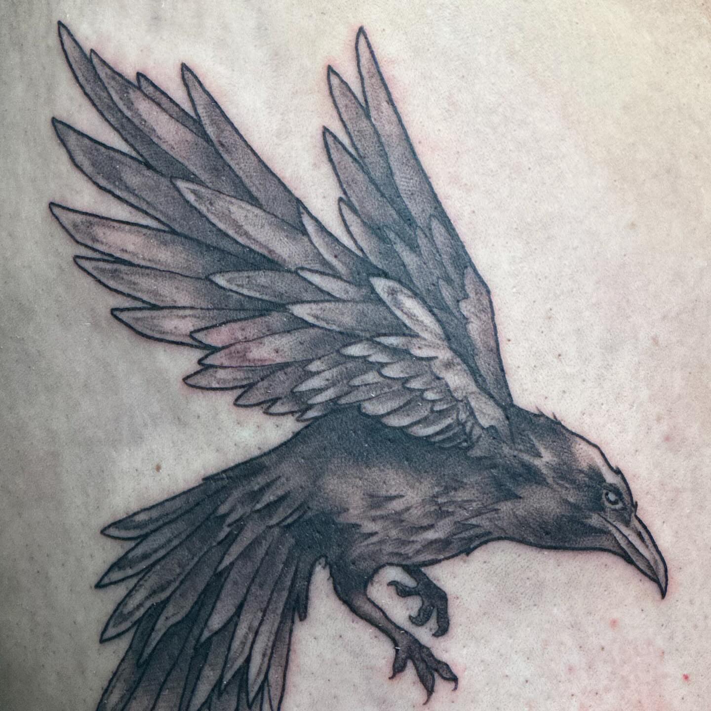 Crow black and grey tattoo on the upper arm by Hi