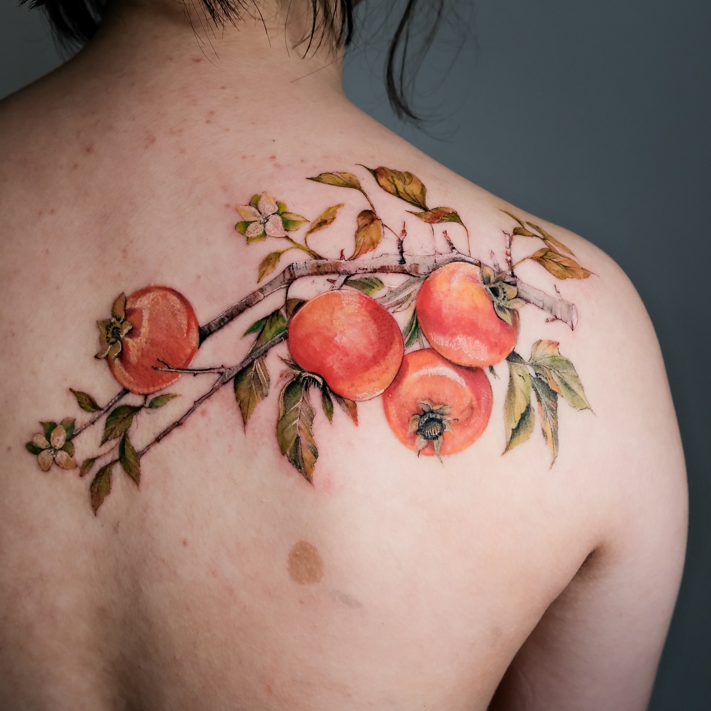 Fruit branch realism tattoo on the back by NAS