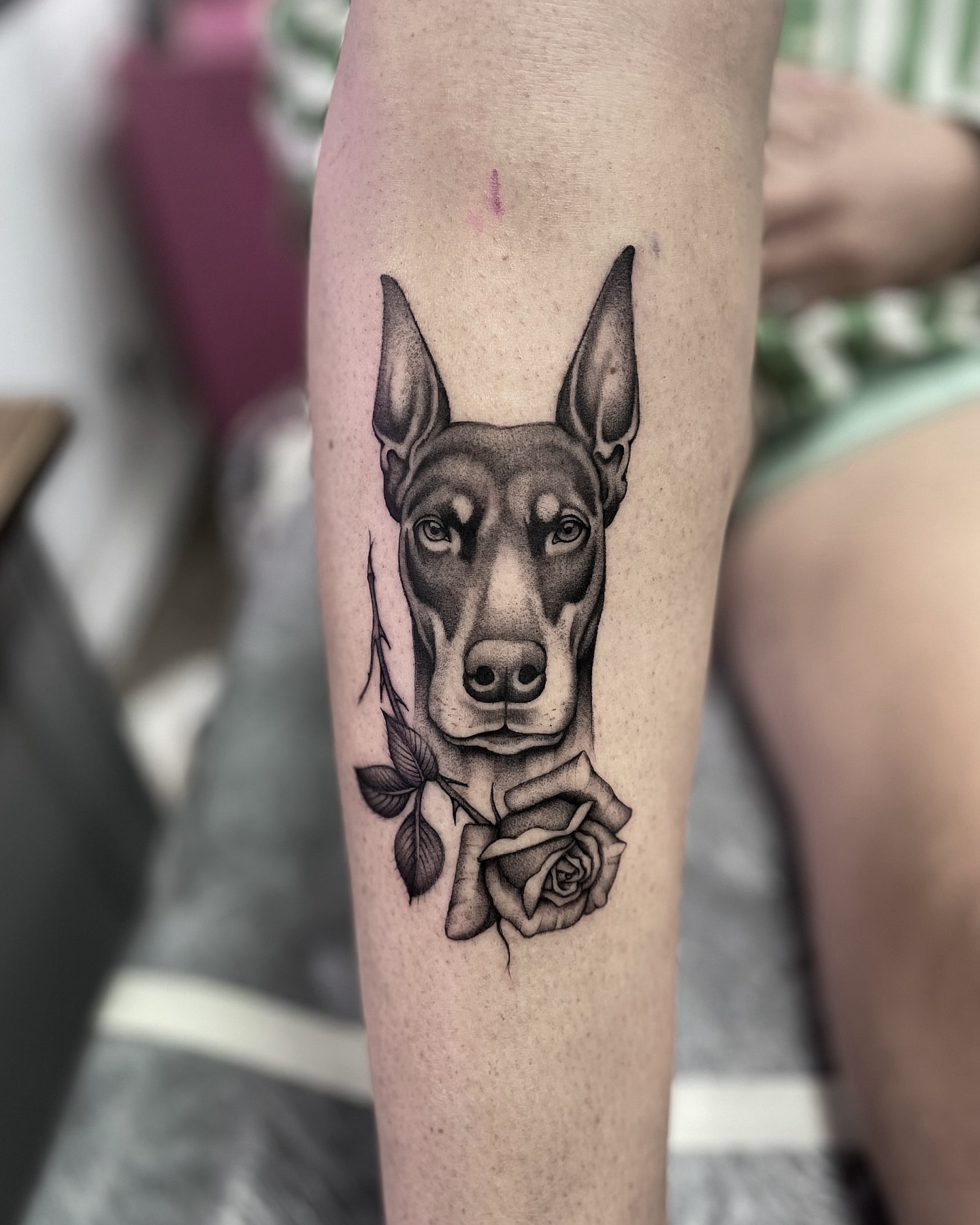 Doberman with roses realism tattoo on the forearm by Gold Coast Tattoo Artist, Gold Coast, Queensland