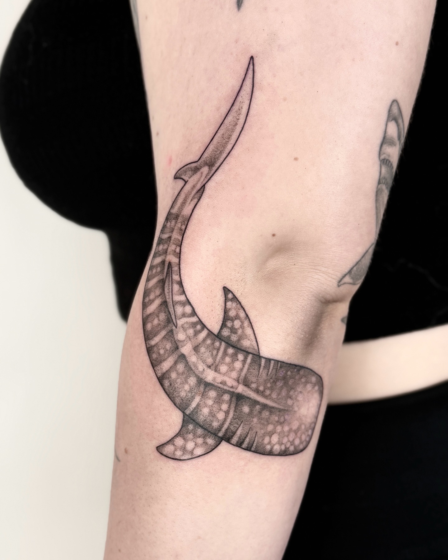Tattoo by @horsegirltats — dotwork