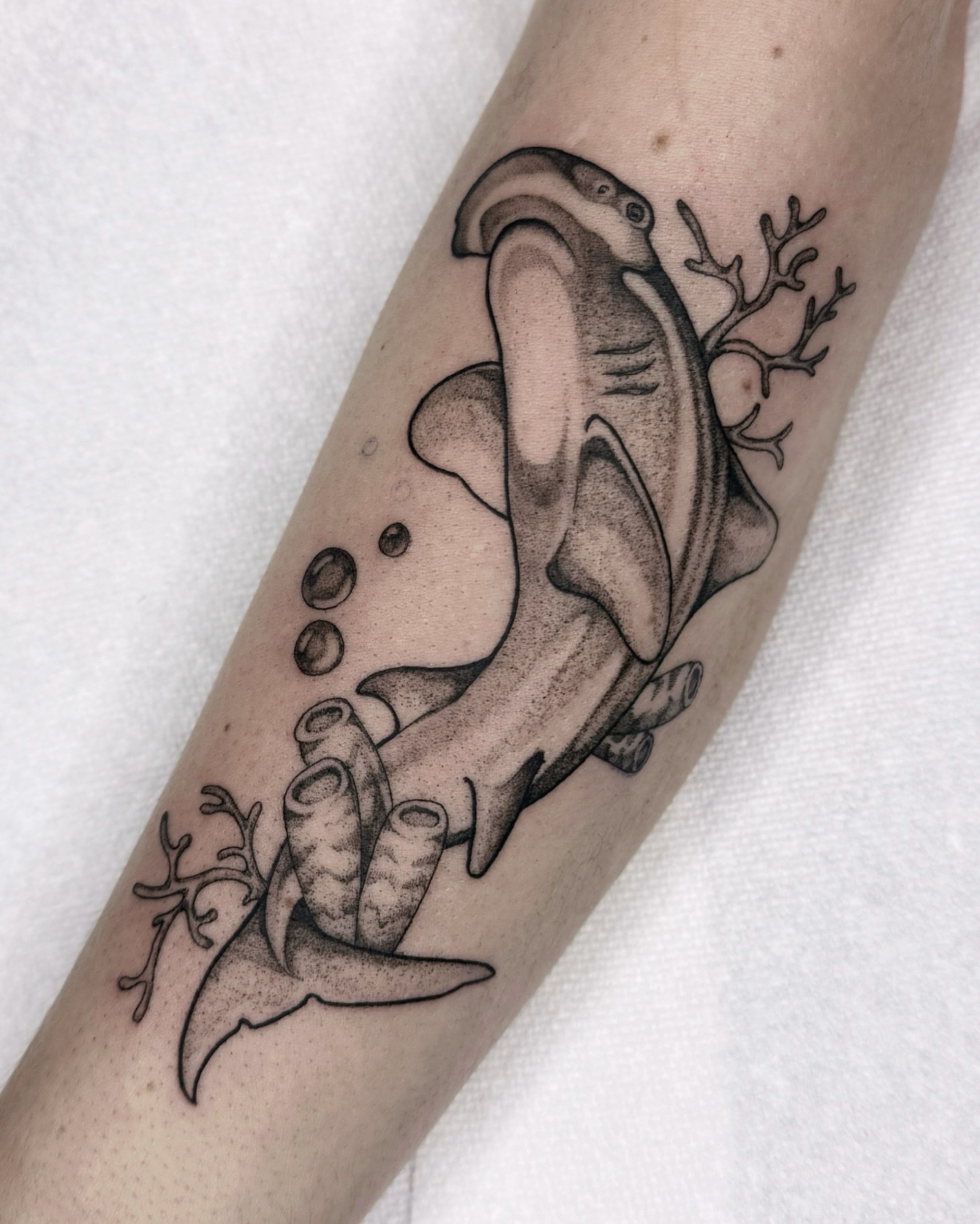 Shark and hand dotwork tattoo on the forearm by 🌸delaney🌸