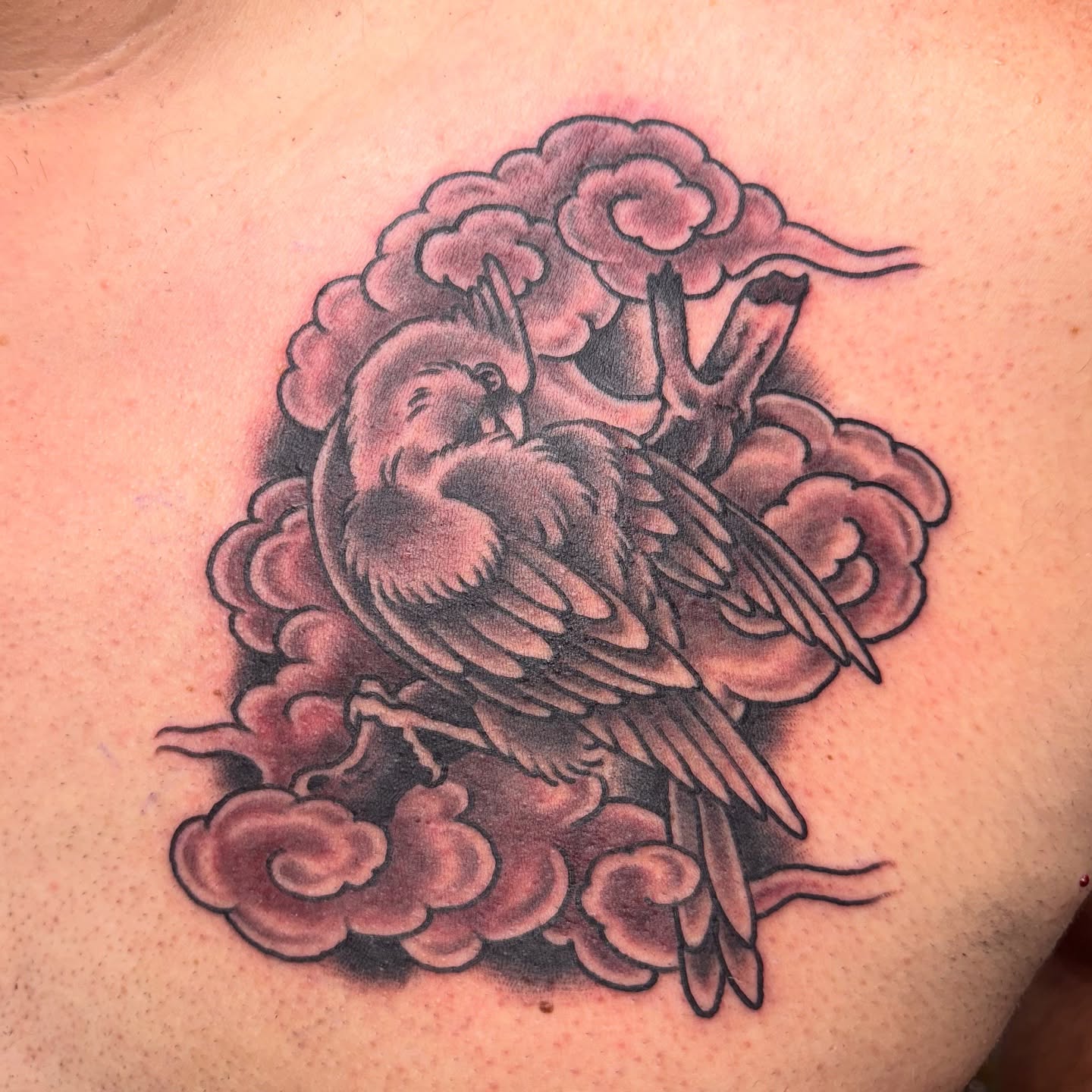 Bird American traditional tattoo on the back by Leif Hansen