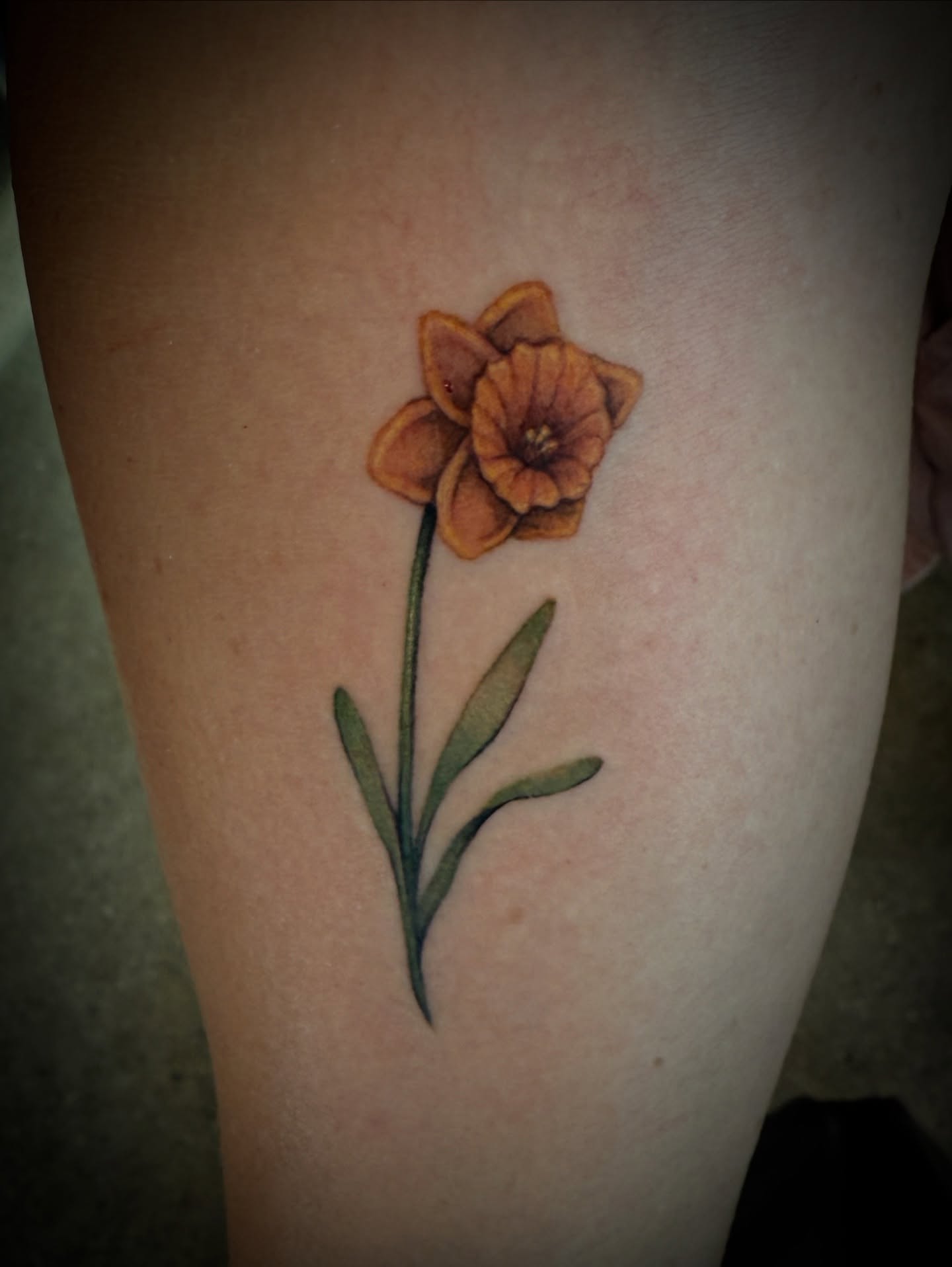 Daffodil realism tattoo on the thigh by Kbryanttattoos, Ohio City, Ohio