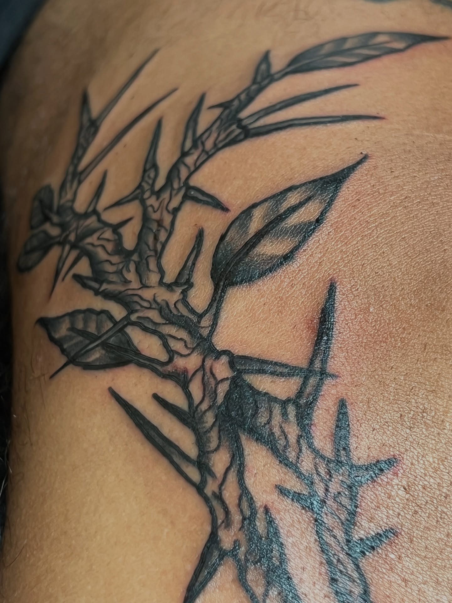 Bamboo black and grey tattoo on the shoulder by Cory Miller