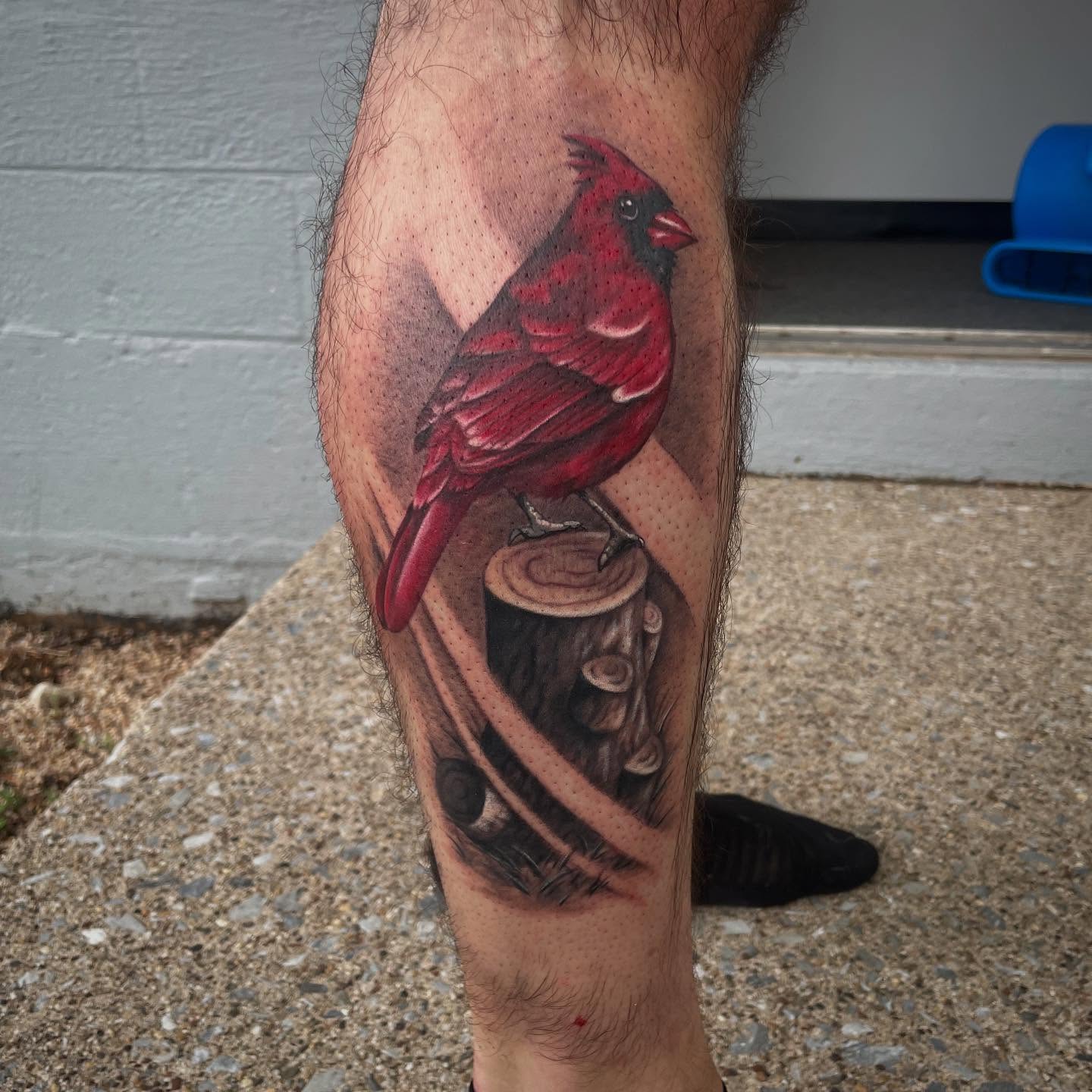Cardinal bird realism tattoo on the forearm by Alexis Monkiewicz