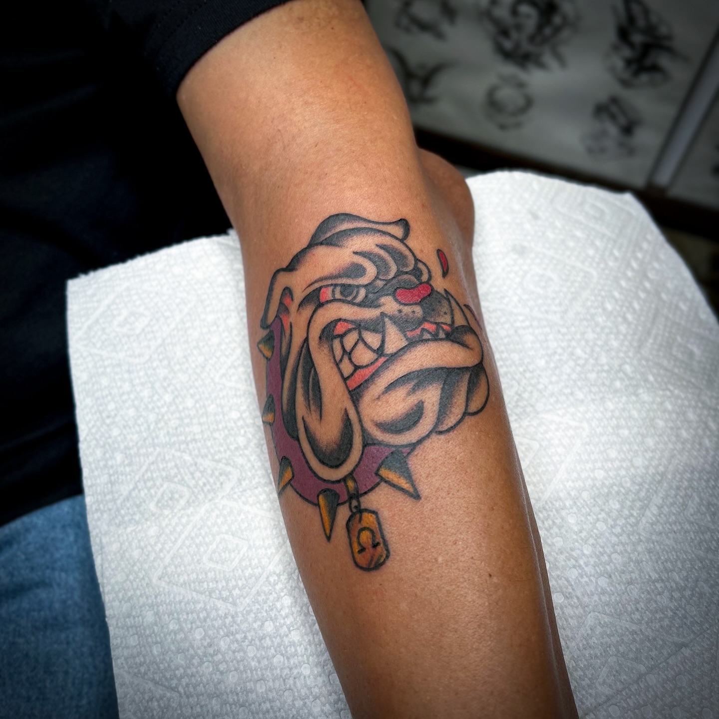 Bulldog American traditional tattoo on the forearm by Bright-bold-classic Tattoos, North Hills