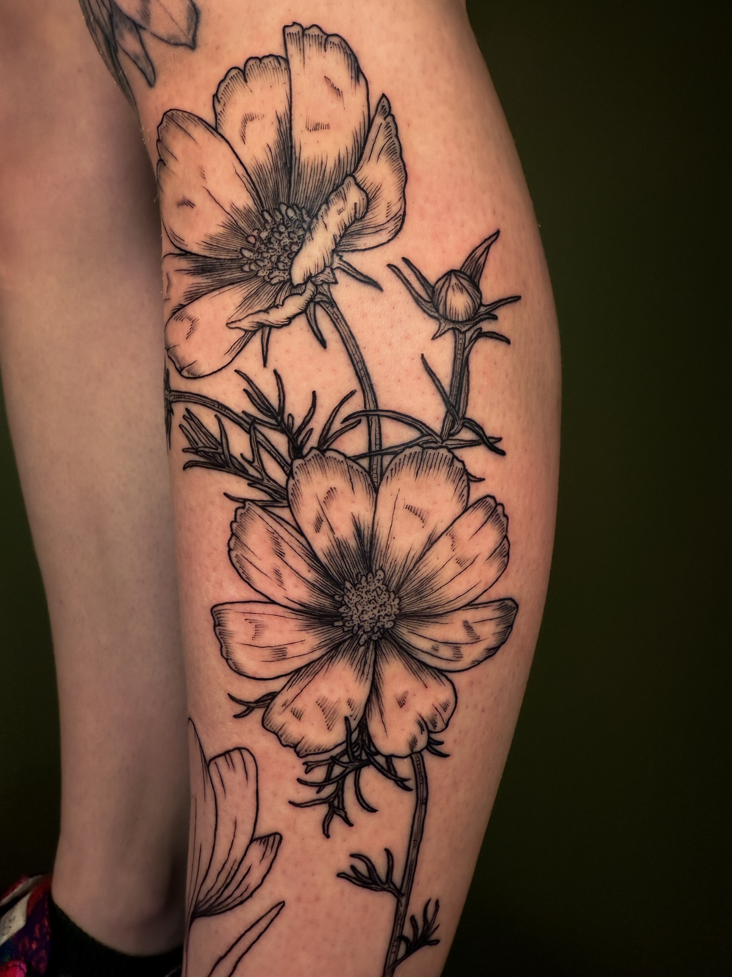 Cosmos flowers black and grey tattoo on the forearm by Zella Mäkelä