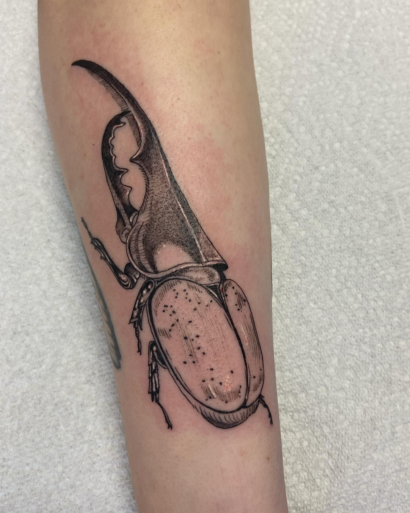 Rhinoceros beetle black and grey tattoo on the forearm by Libbey June @ Snailberry Studios- NW OHIO