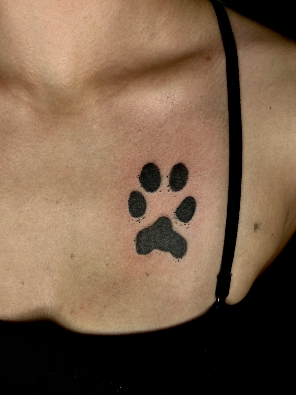 Paw print black and grey tattoo by Tash ๐โ๐ฉ