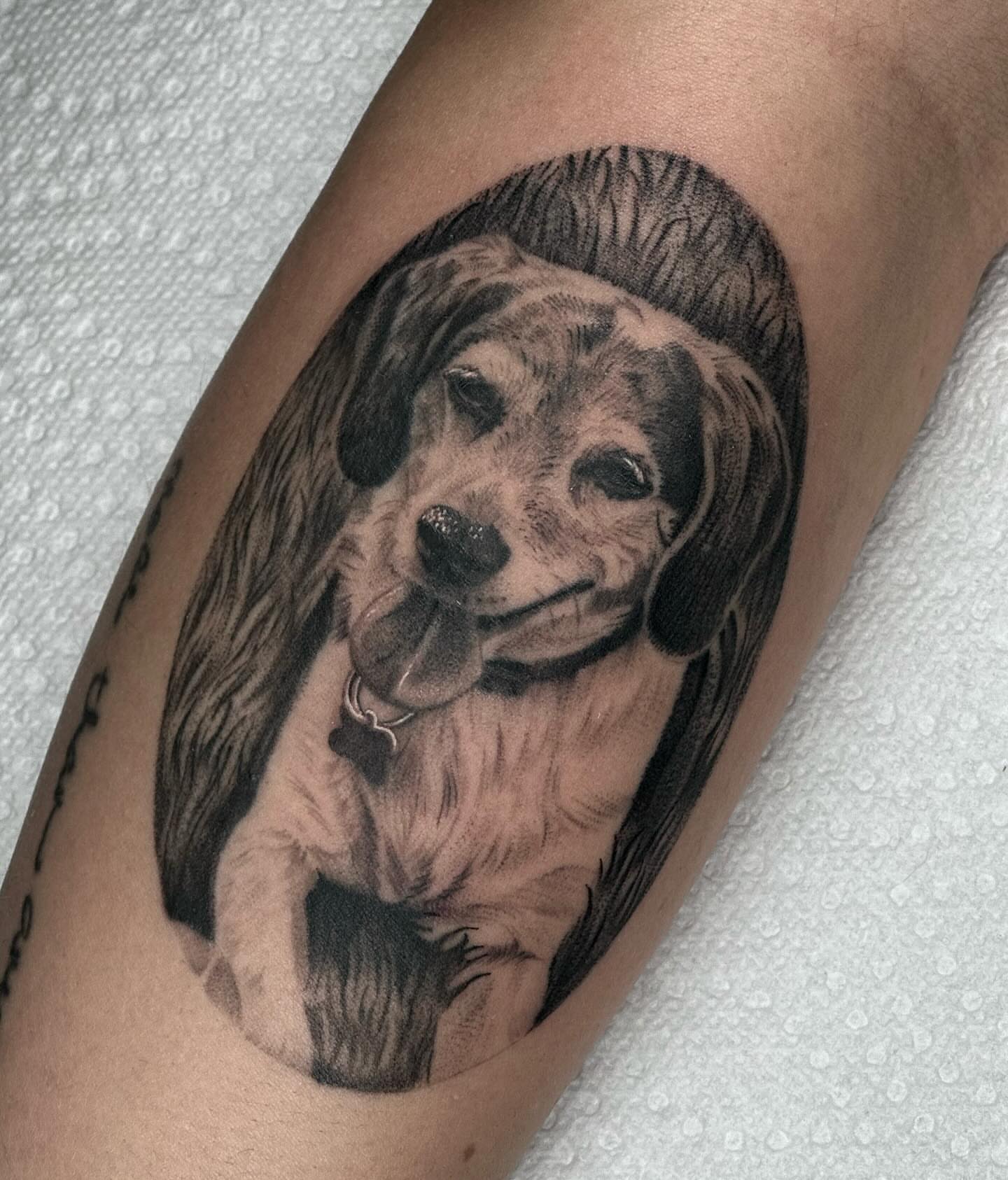 Dog realism tattoo on the forearm by Katie Kelley