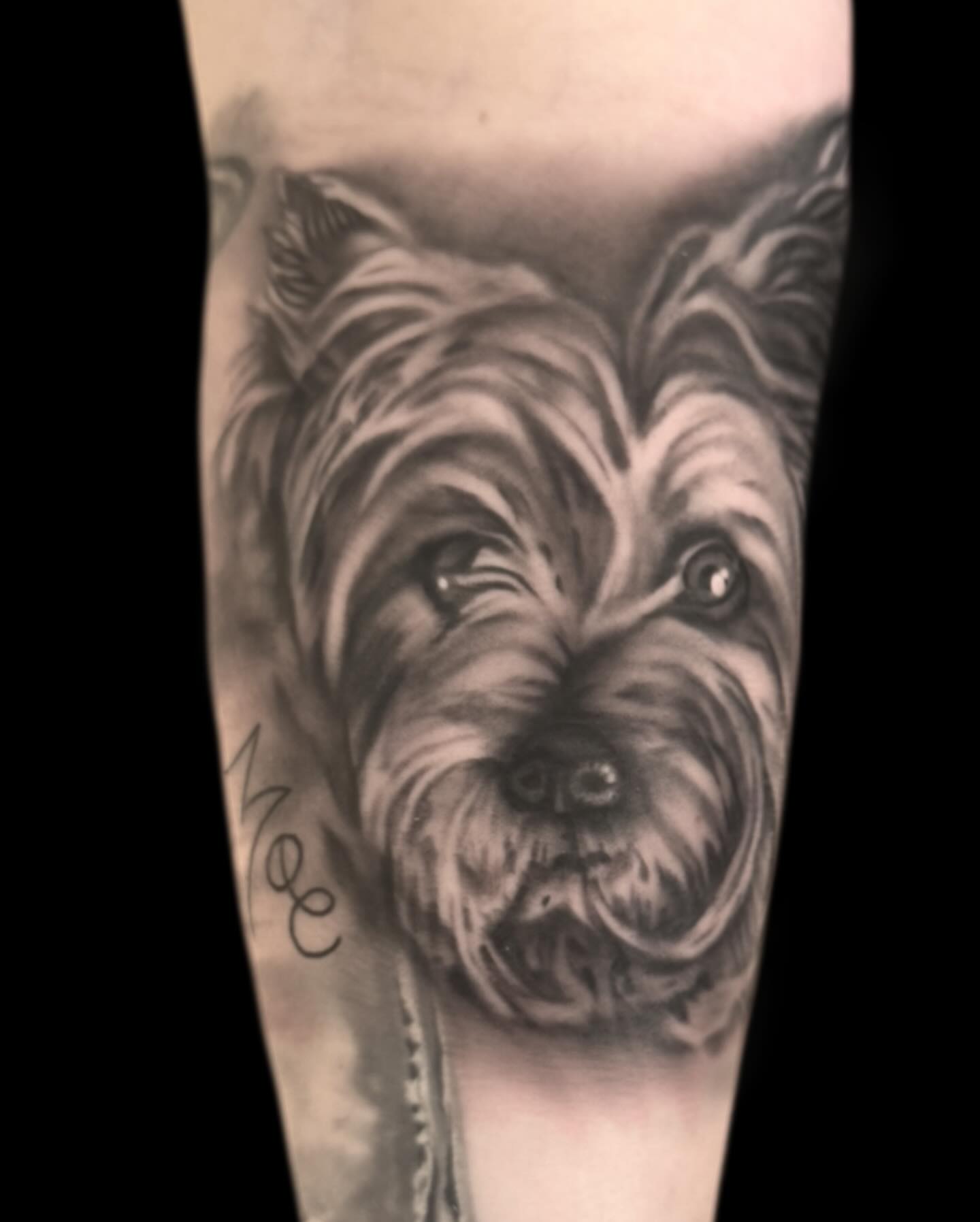 Dog realism tattoo on the forearm by Jen Bean, Richmond, Virginia