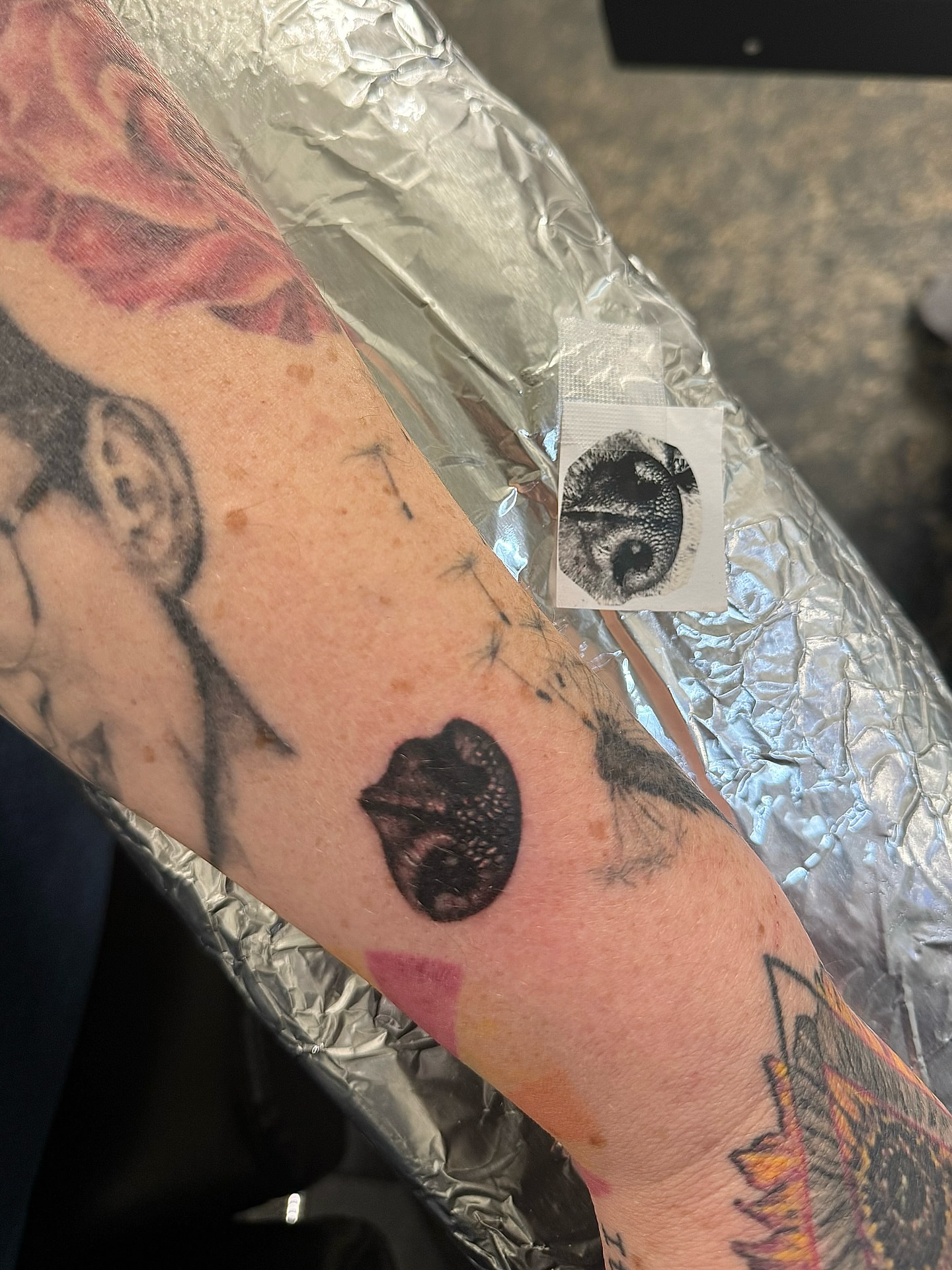 Eye dotwork tattoo on the forearm by ηυñєzιηкz, Kansas City, Missouri