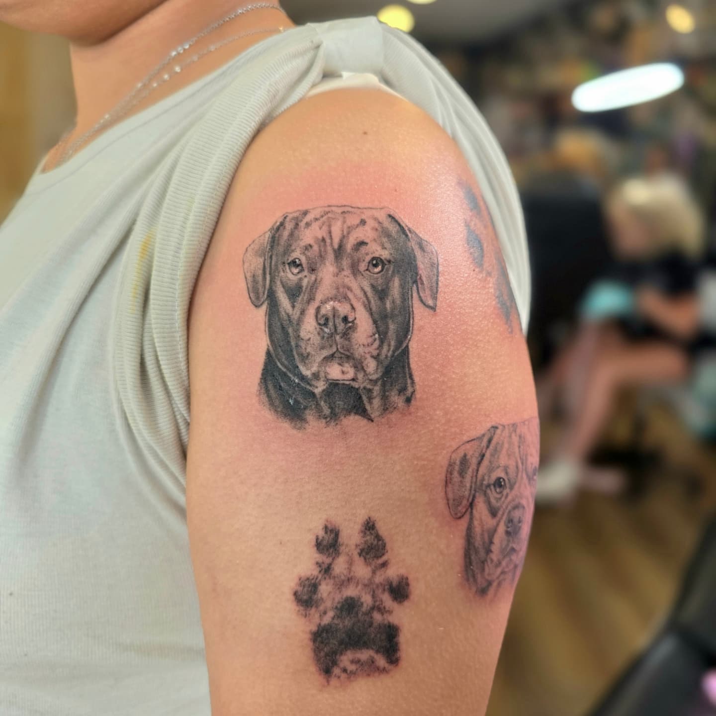 Dog portrait realism tattoo on the shoulder by Sai Machain