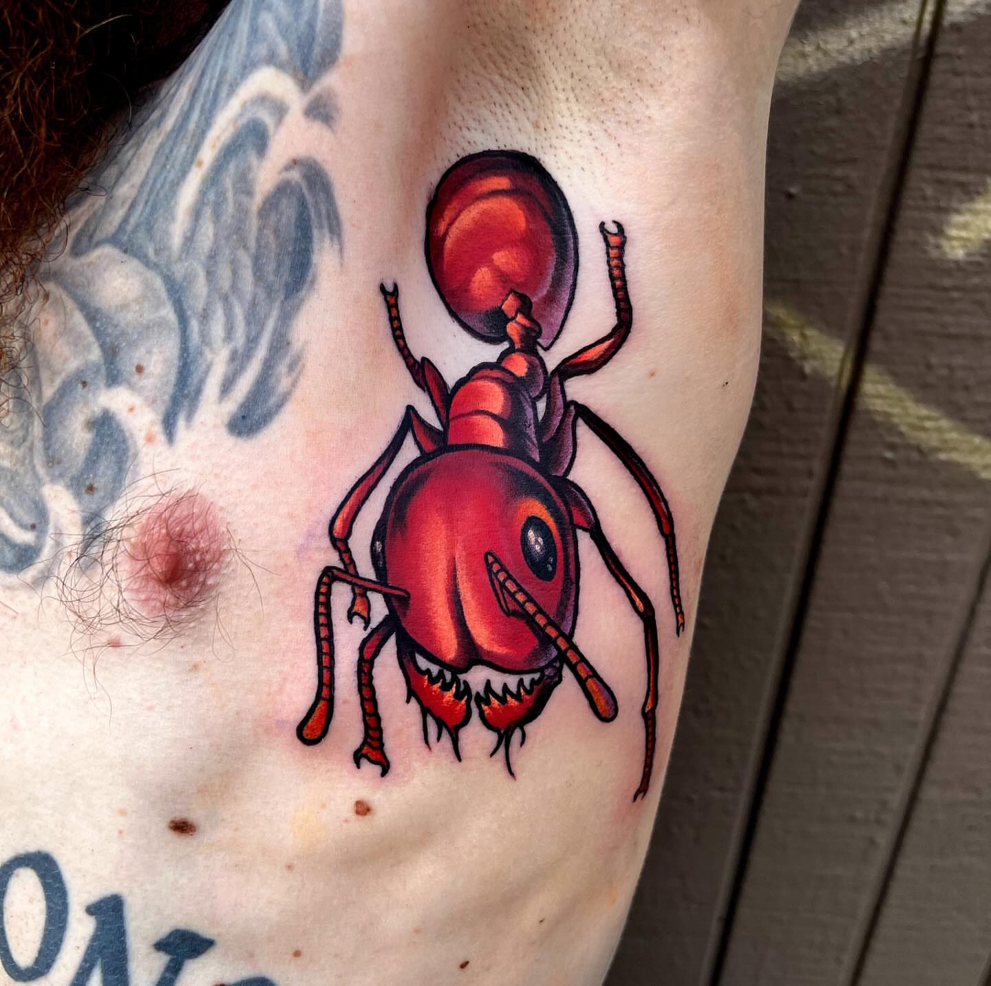 Tattoo by @heystraydog — realism